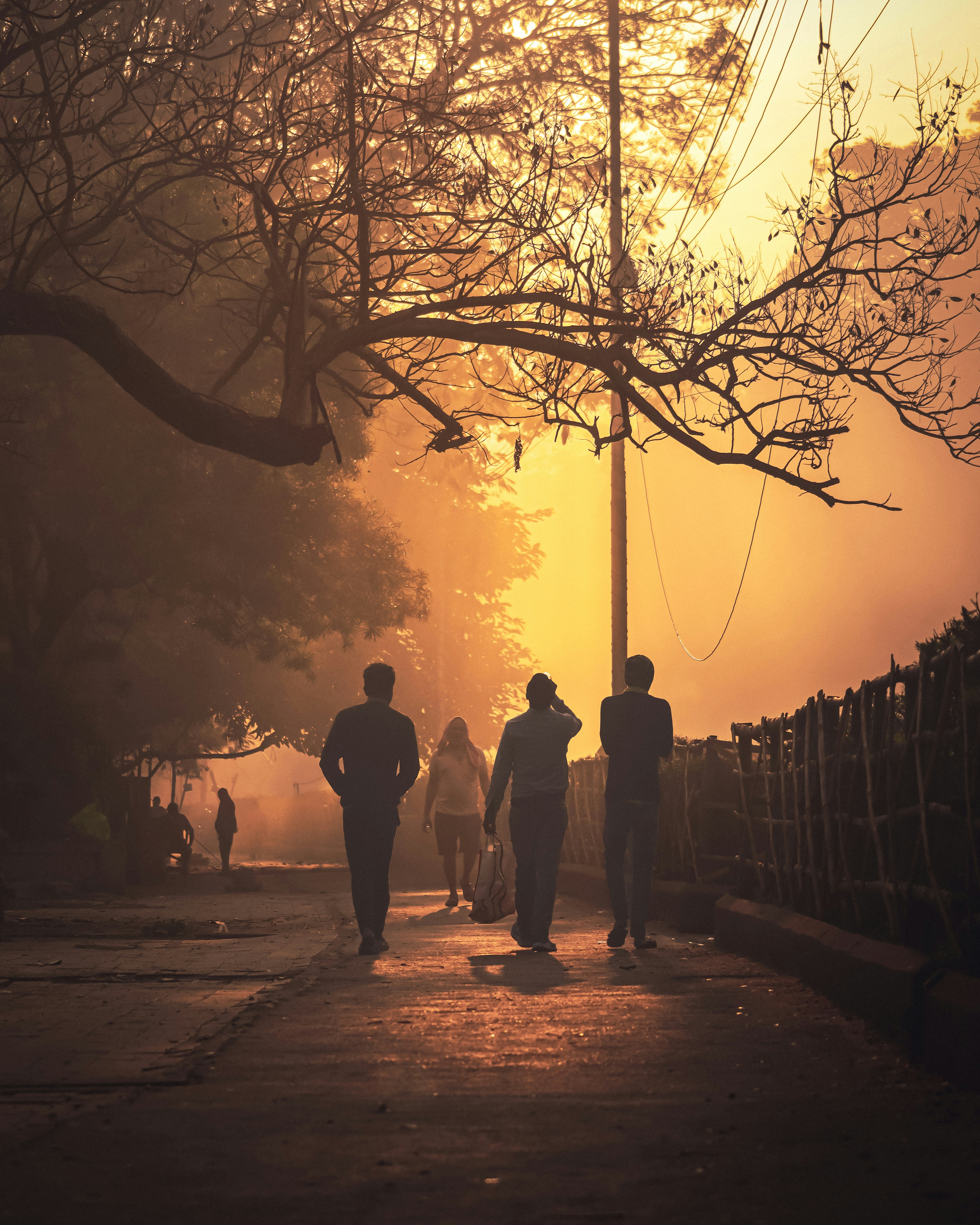 Photo by rohitsharma1785