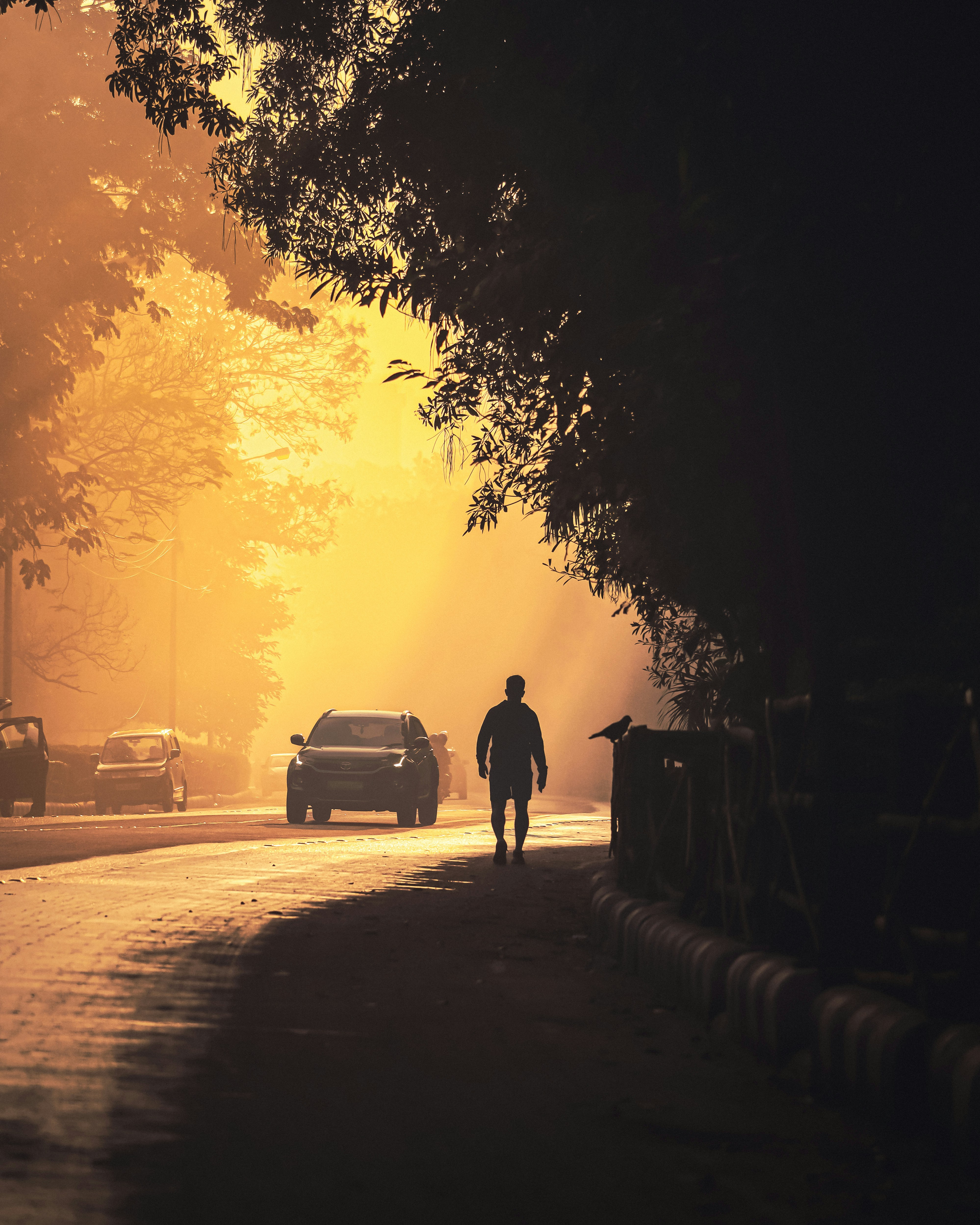 Photo by rohitsharma1785