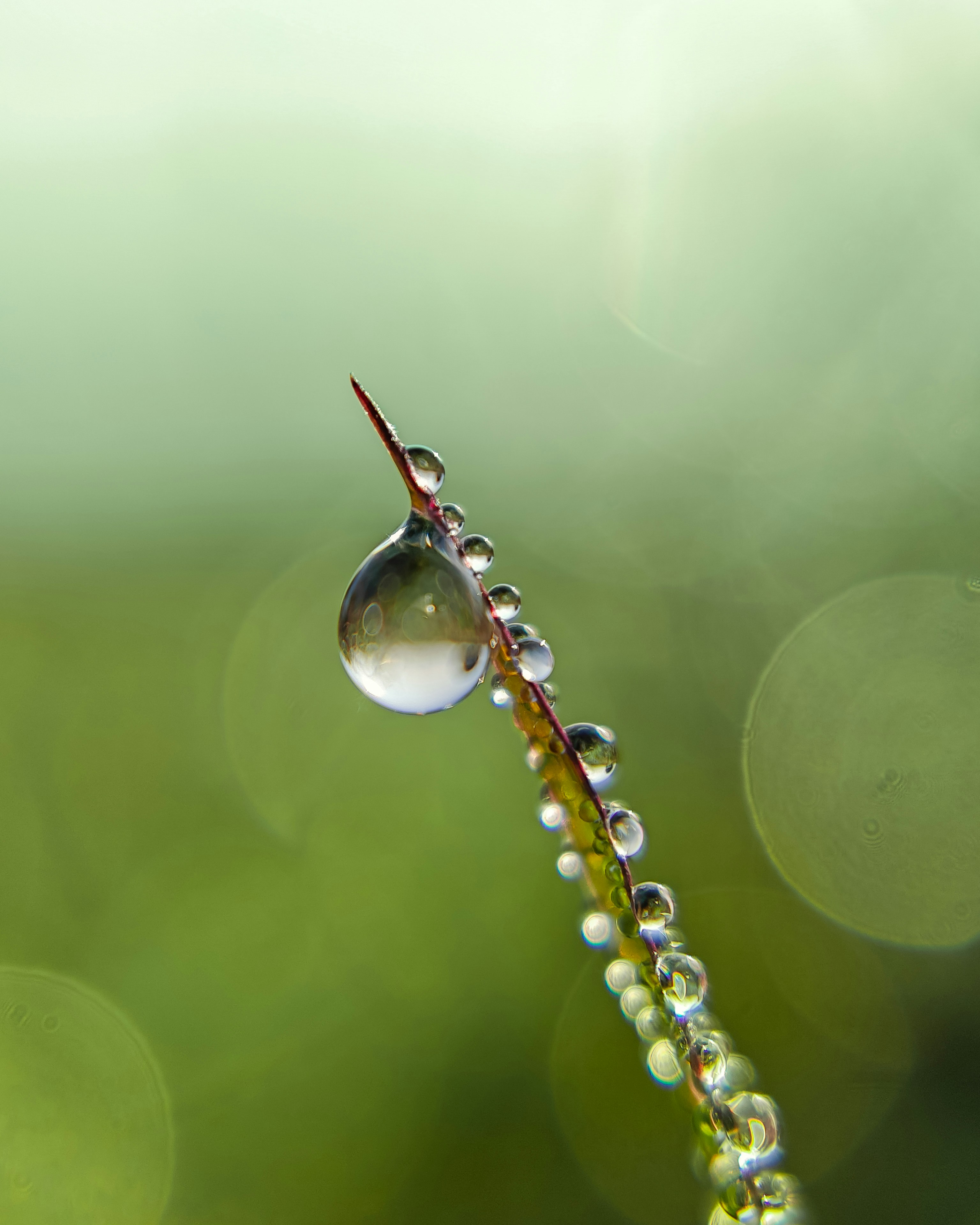 Photo by rohitsharma1785