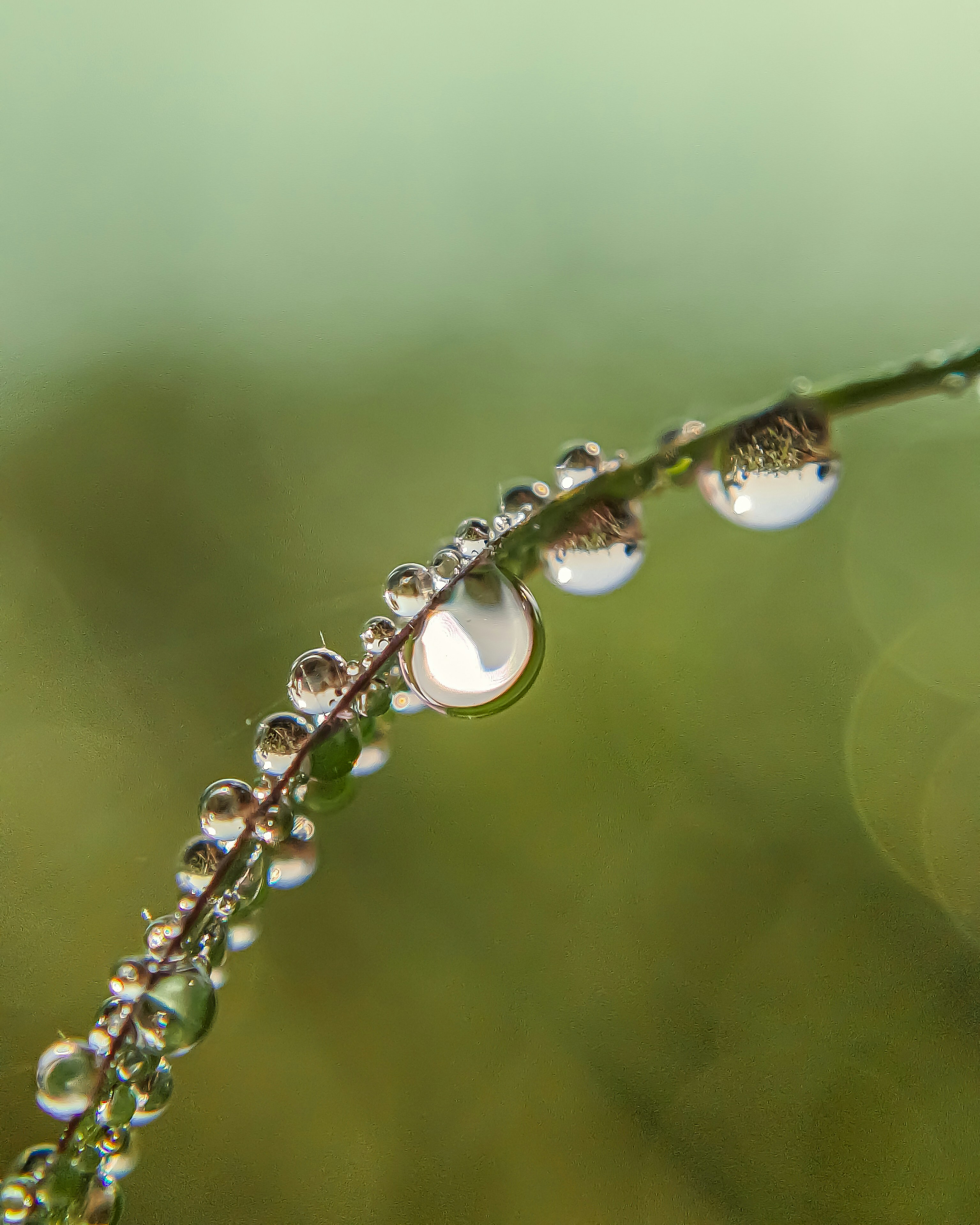 Photo by rohitsharma1785