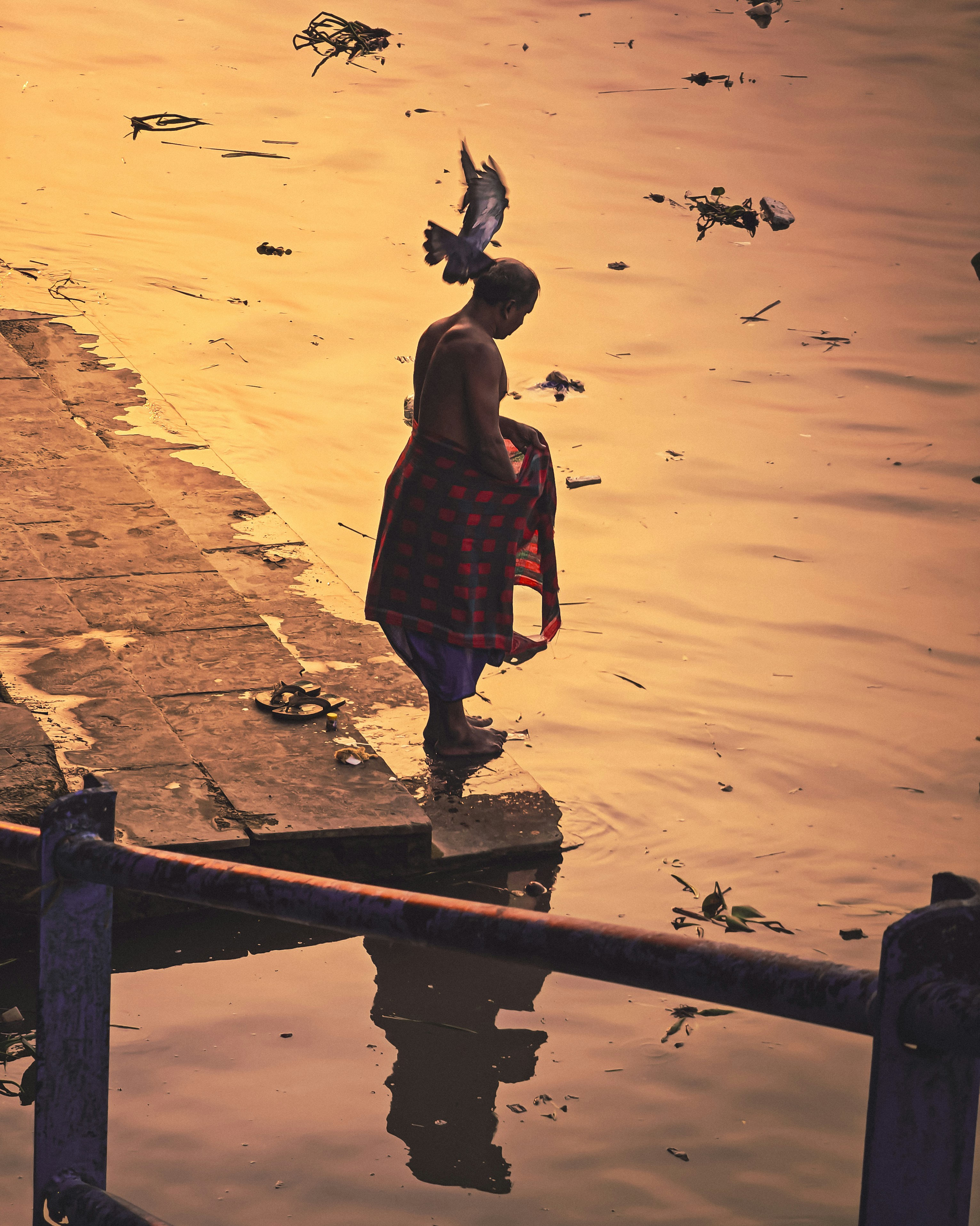 Photo by rohitsharma1785