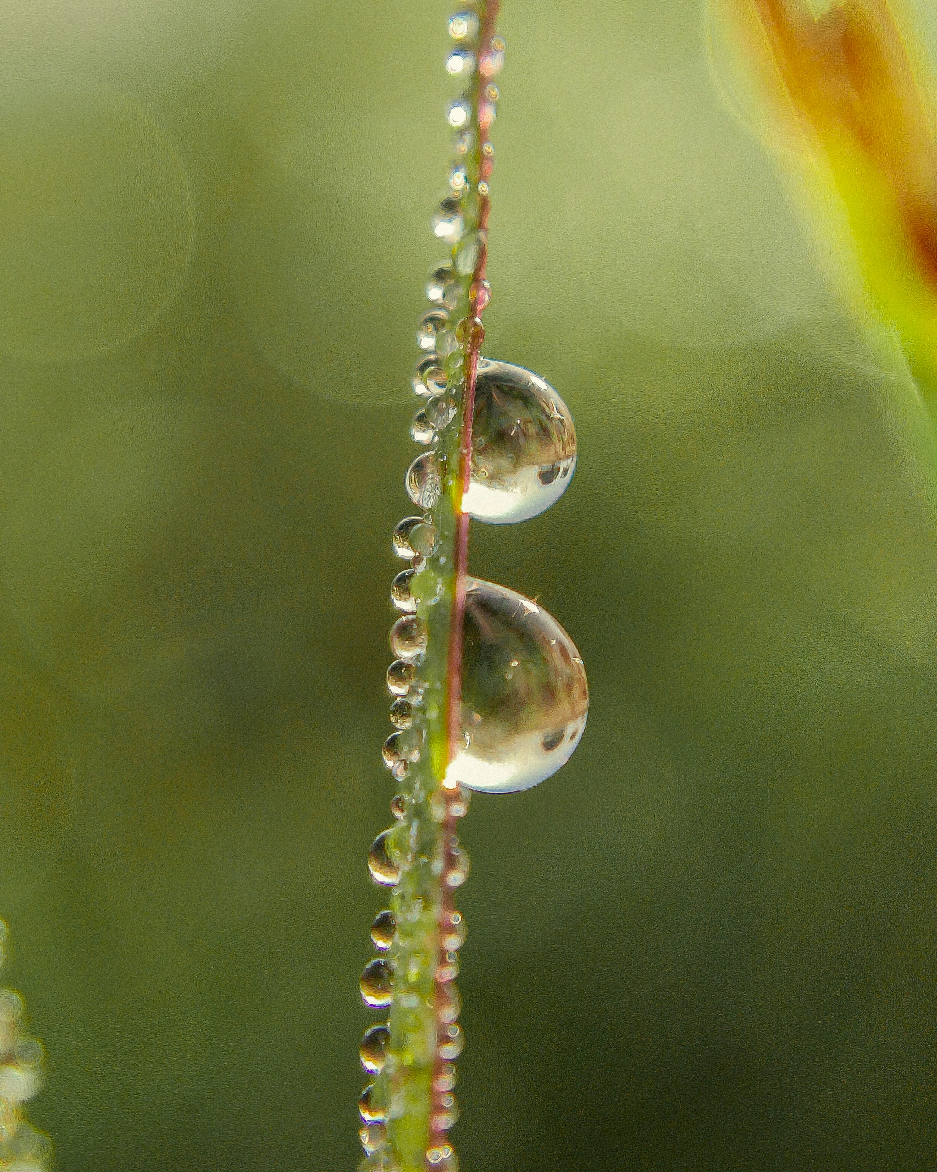 Photo by rohitsharma1785