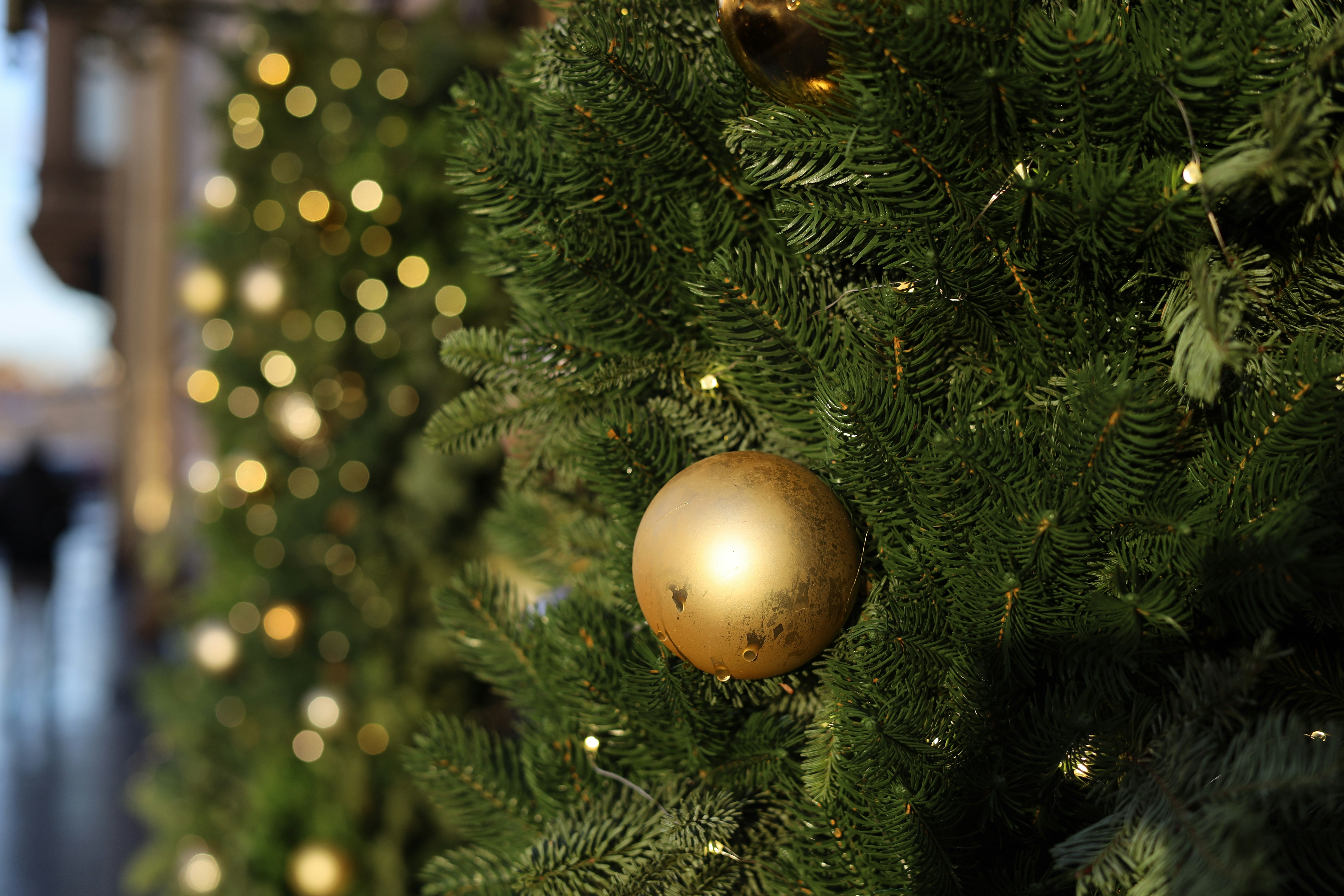 Christmas tree reveal with gold accents