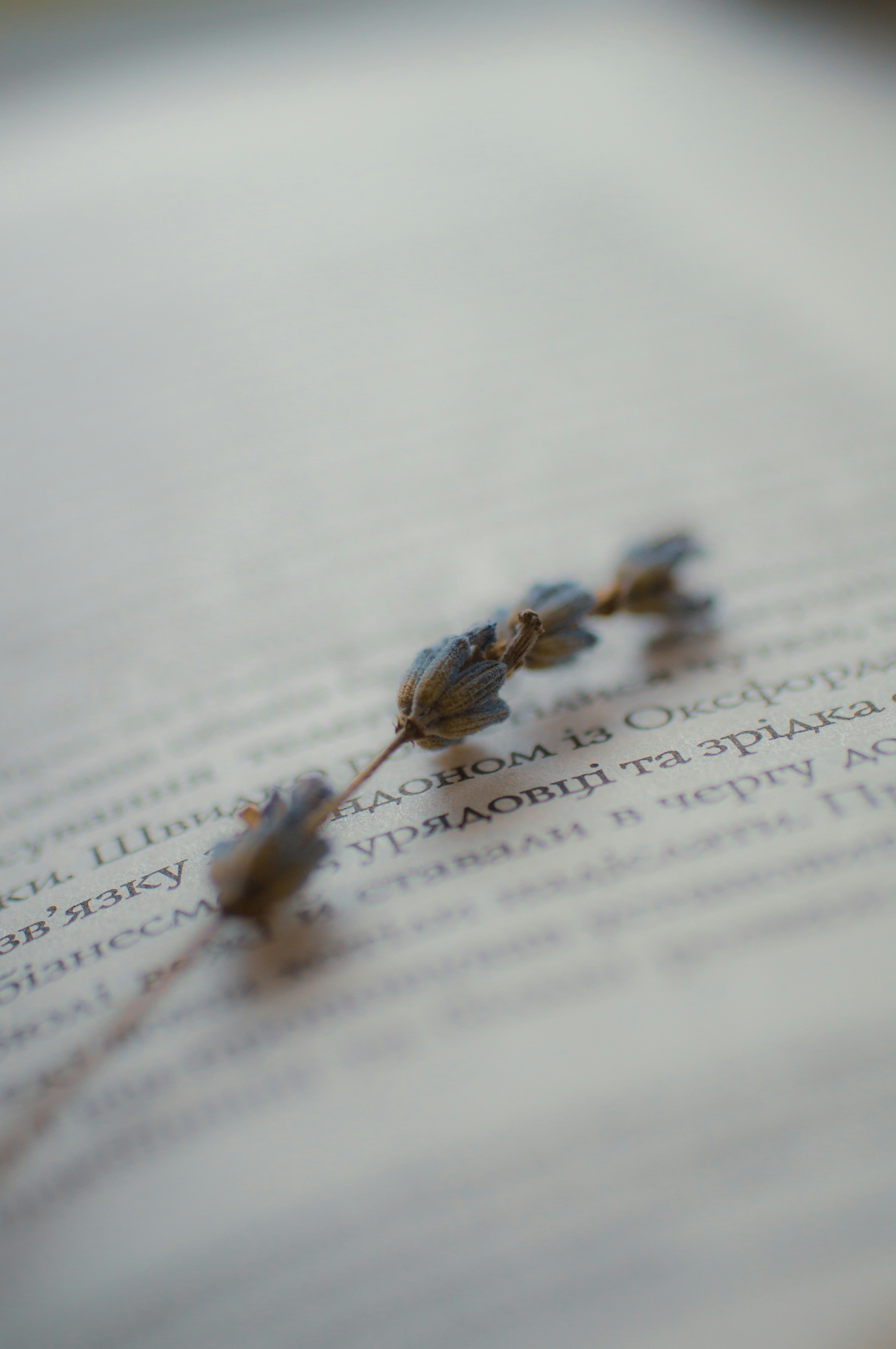 A close up of a book with a flower on it