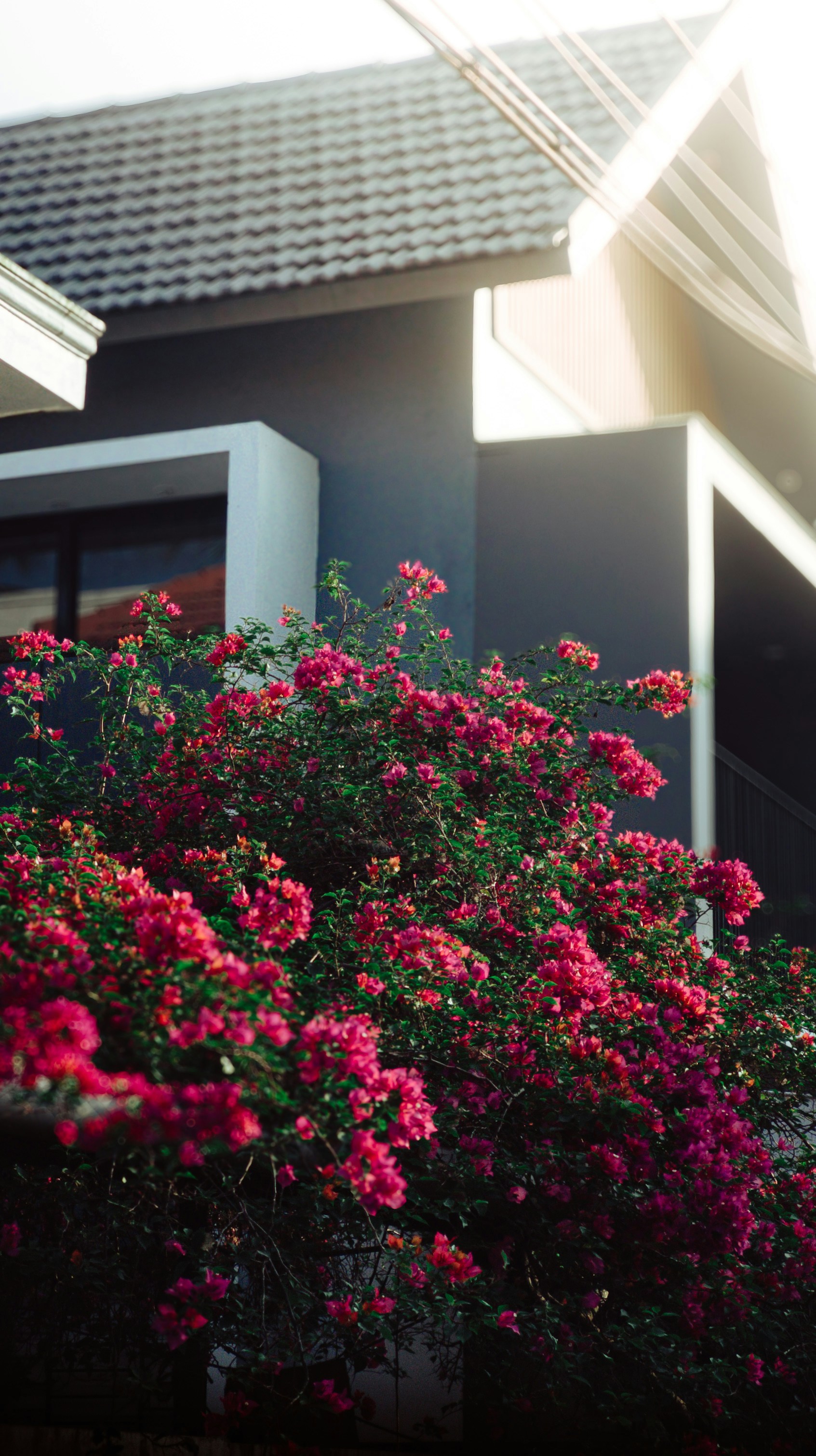 Photo by pocketpixeldiary