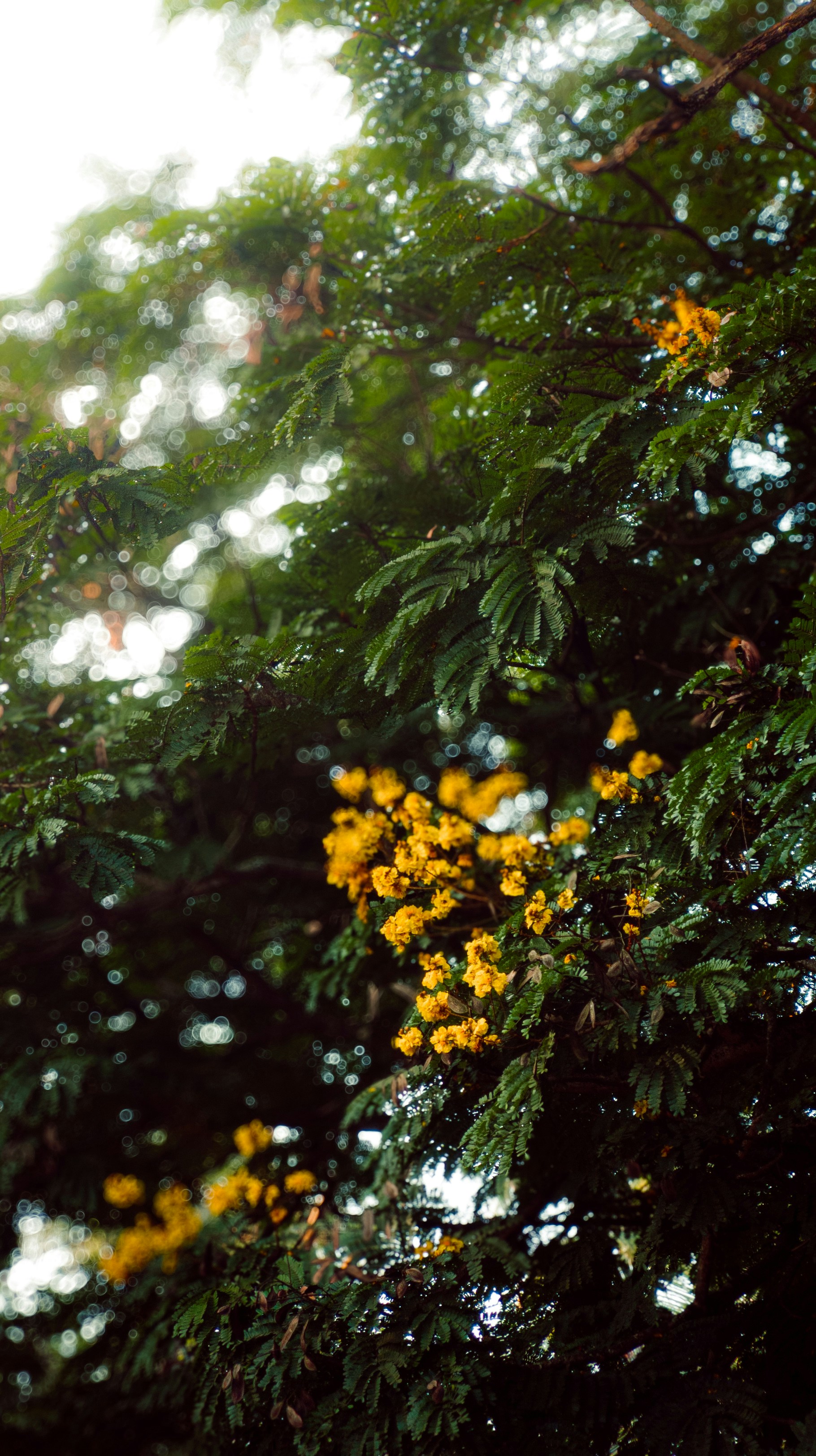 Photo by pocketpixeldiary