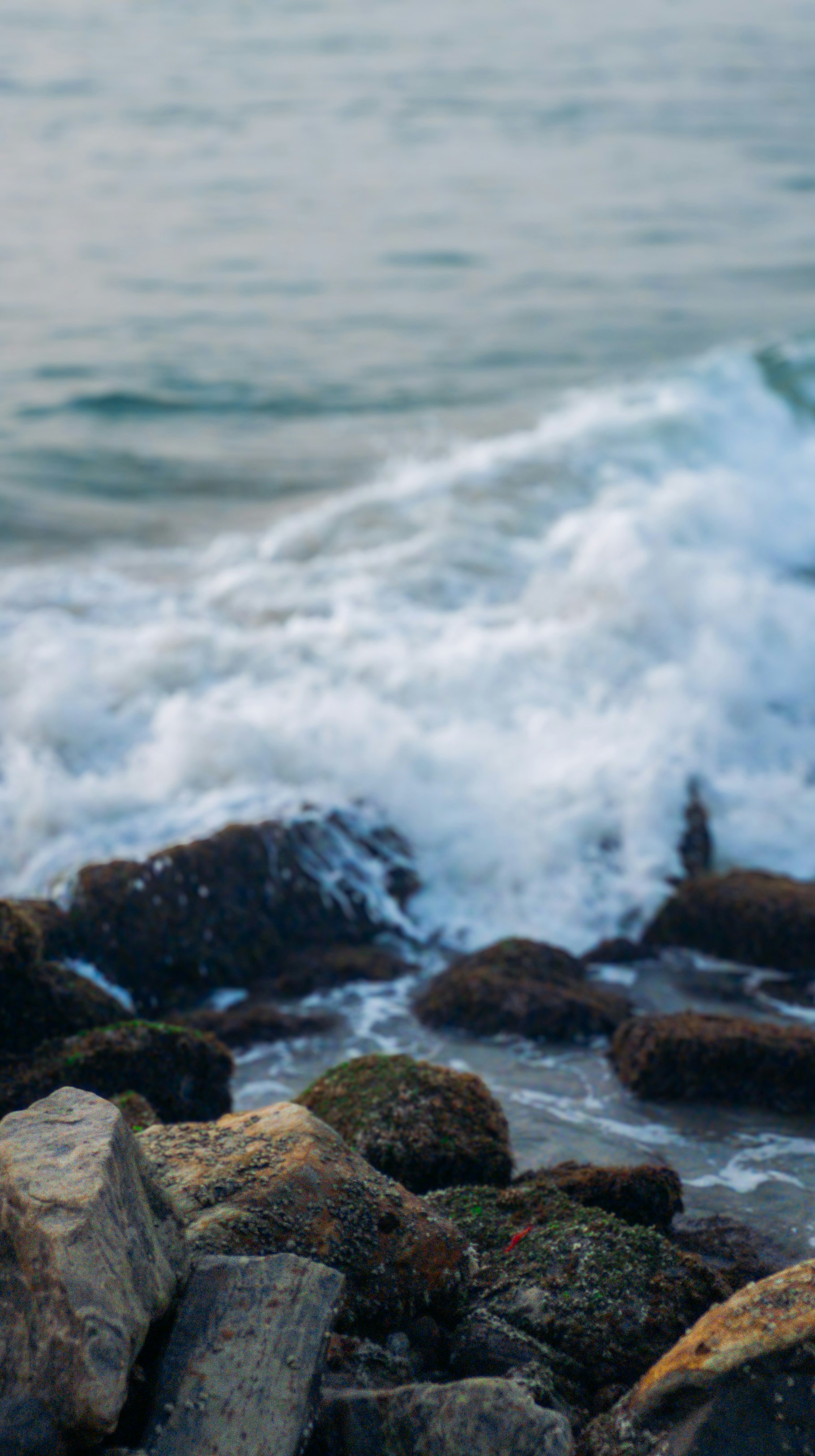 Photo by pocketpixeldiary