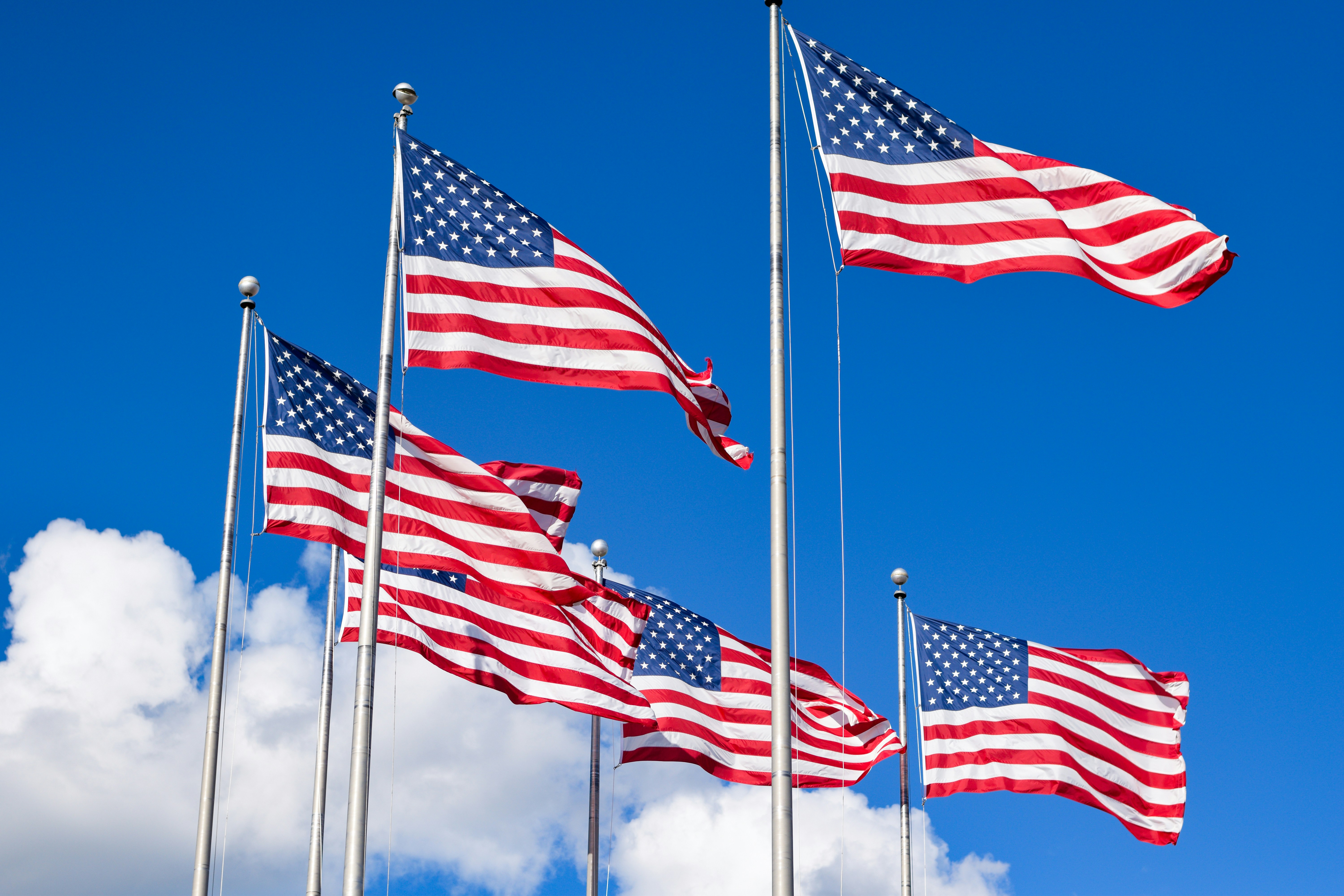 Un groupe de drapeaux américains flottant au vent