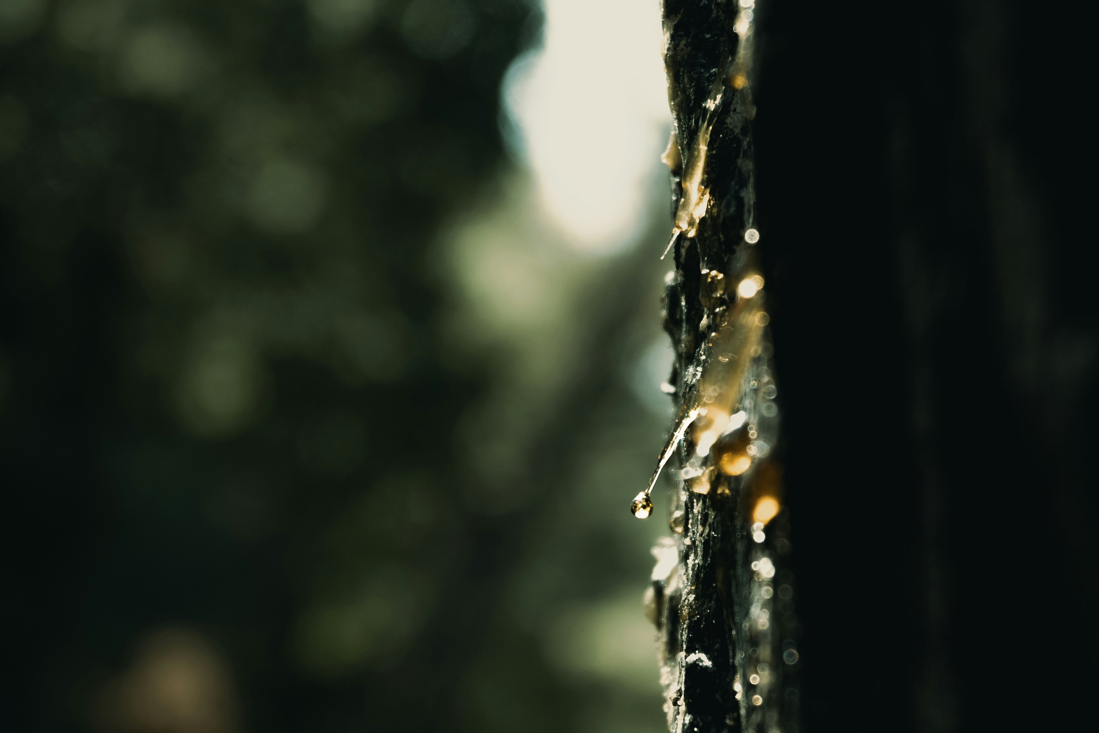 Photo by faheem_2911