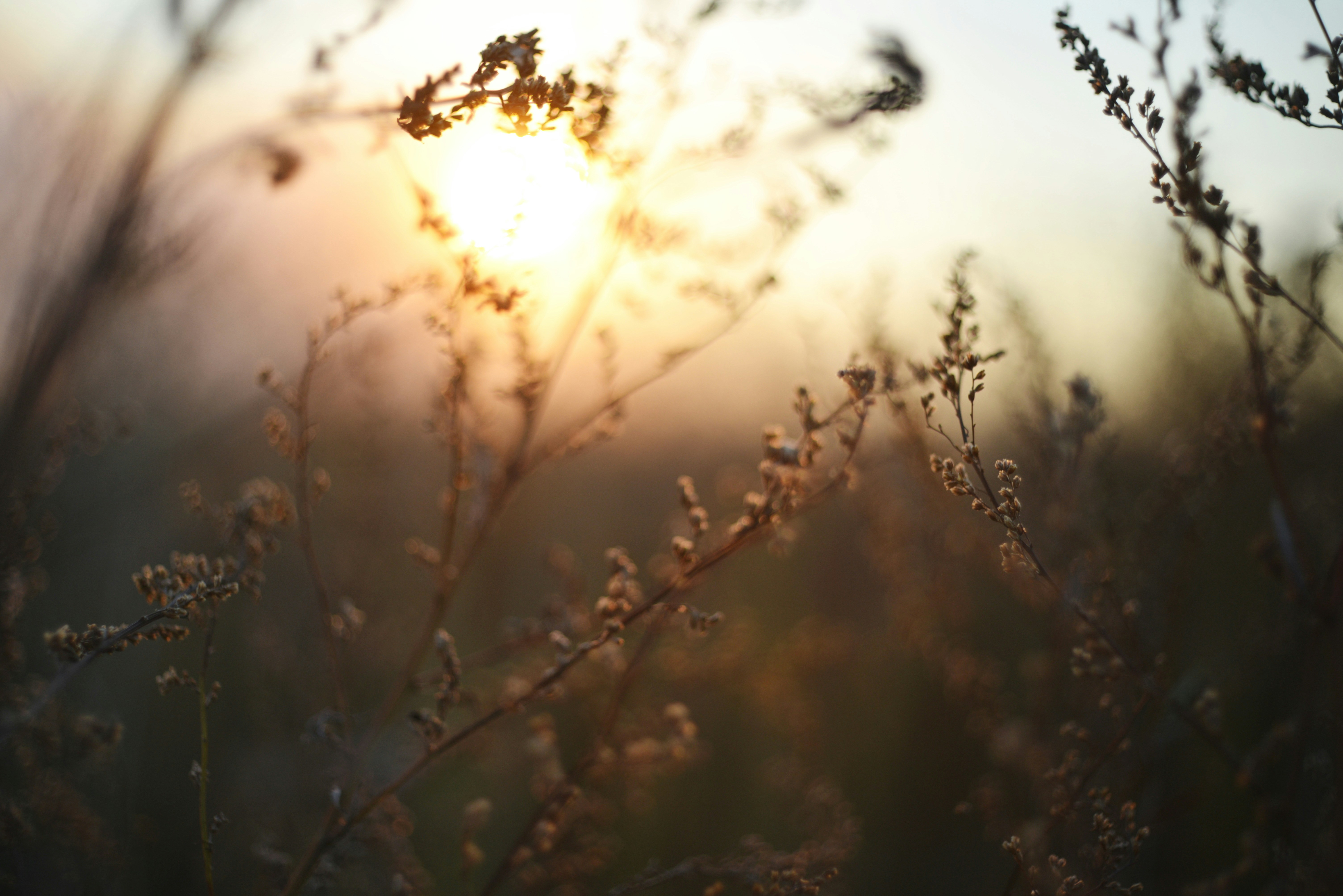 Photo by cherstve_pechivo