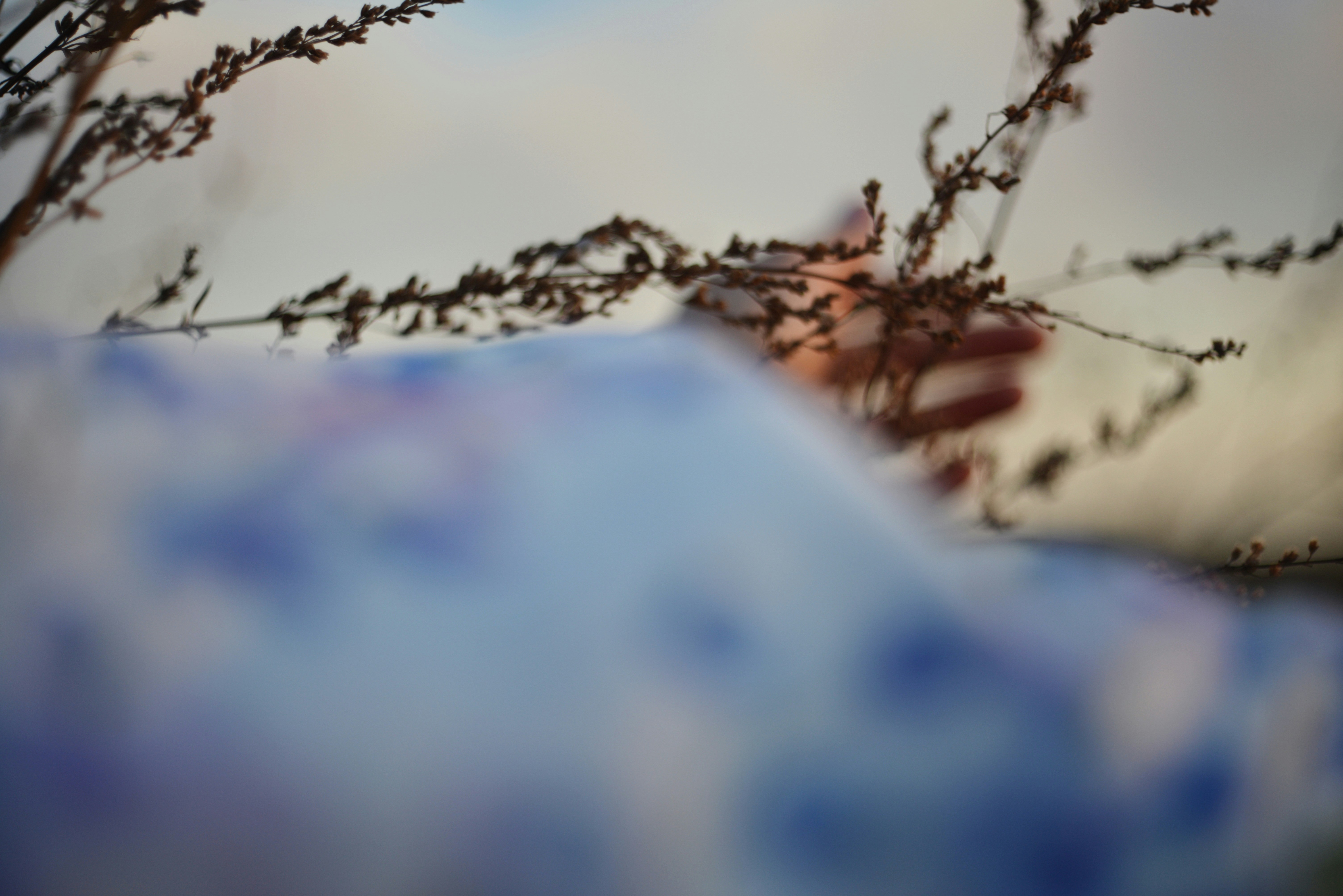 Photo by cherstve_pechivo