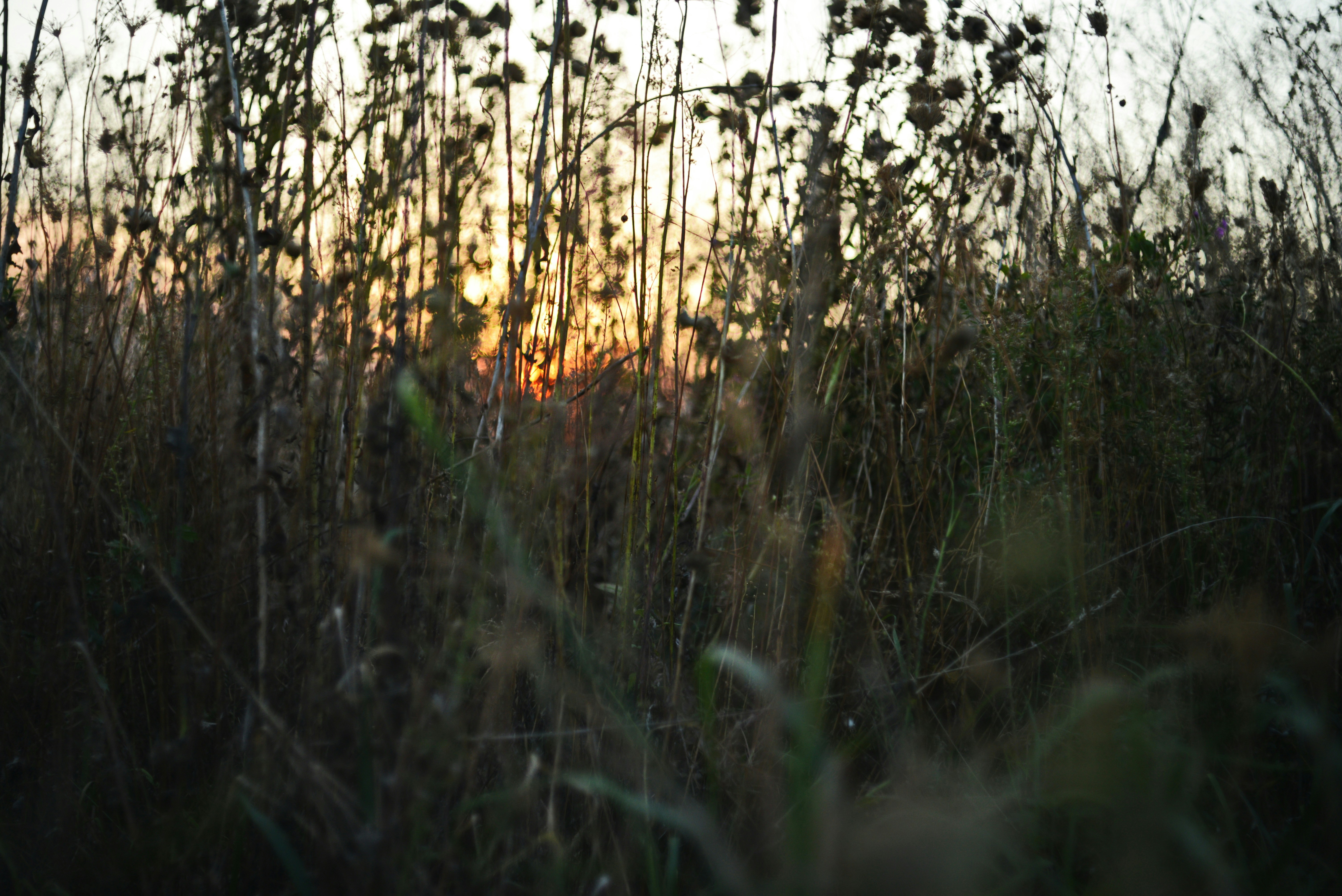 Photo by cherstve_pechivo