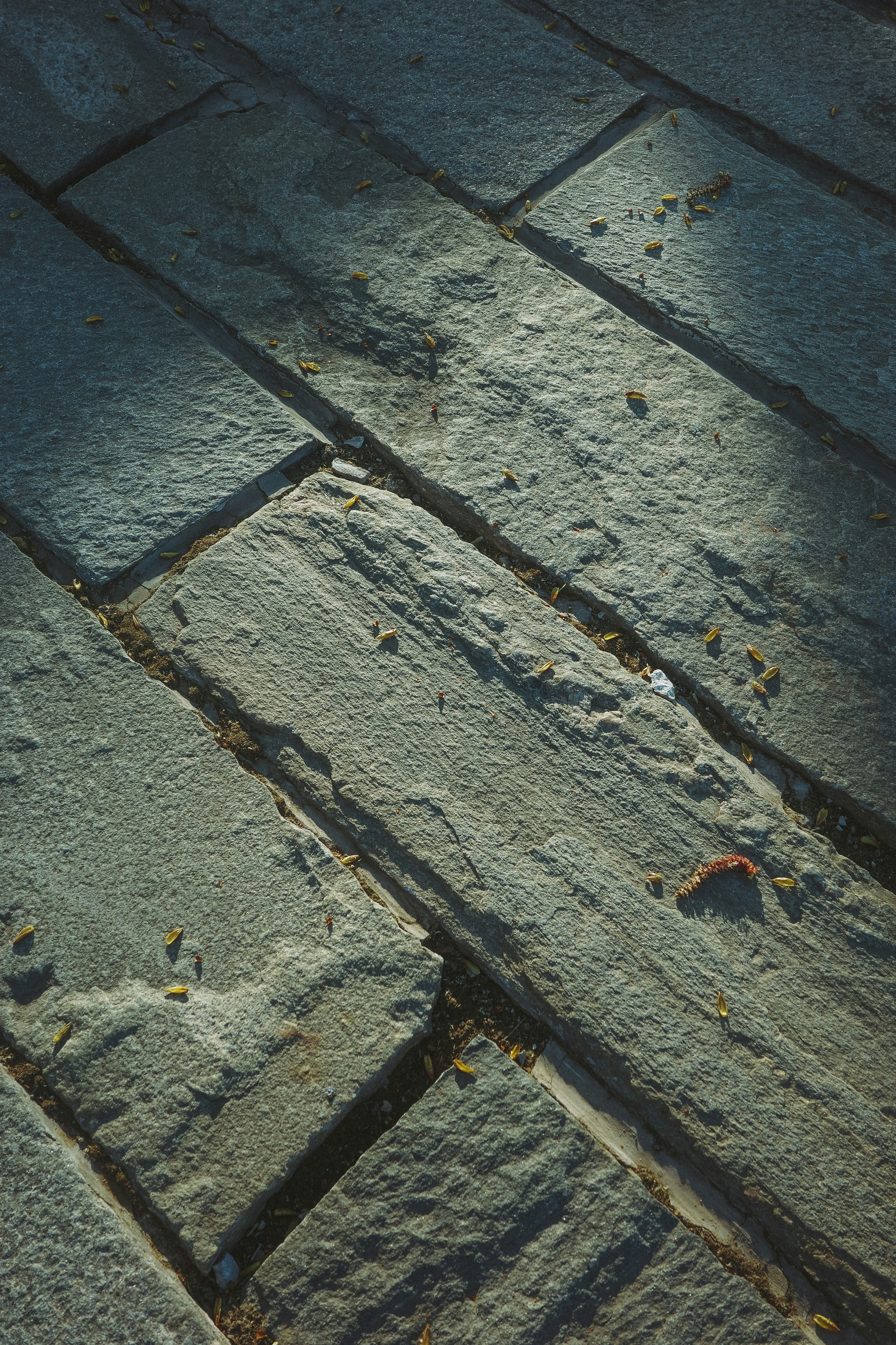 Photo by dynamicwang