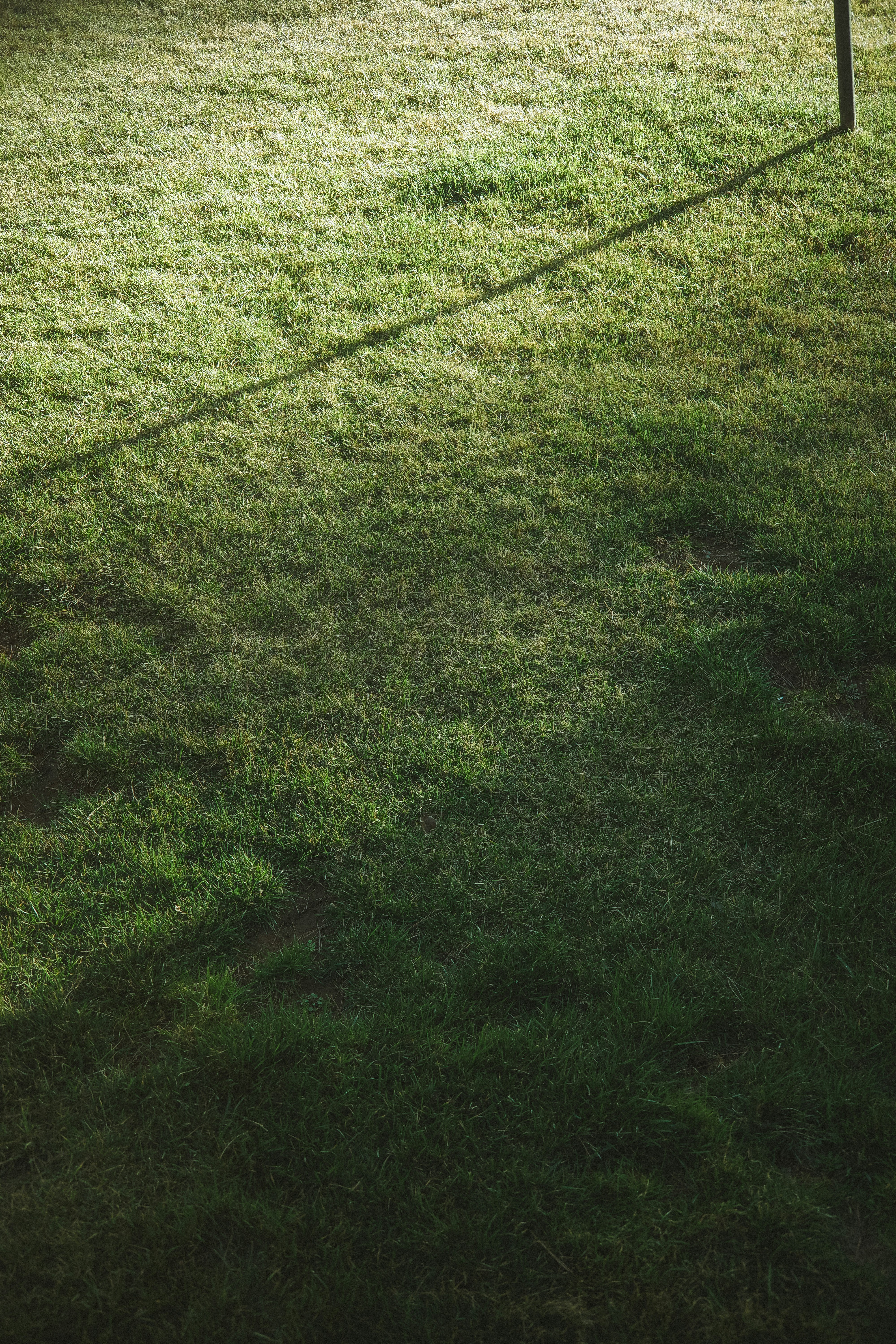 Photo by dynamicwang