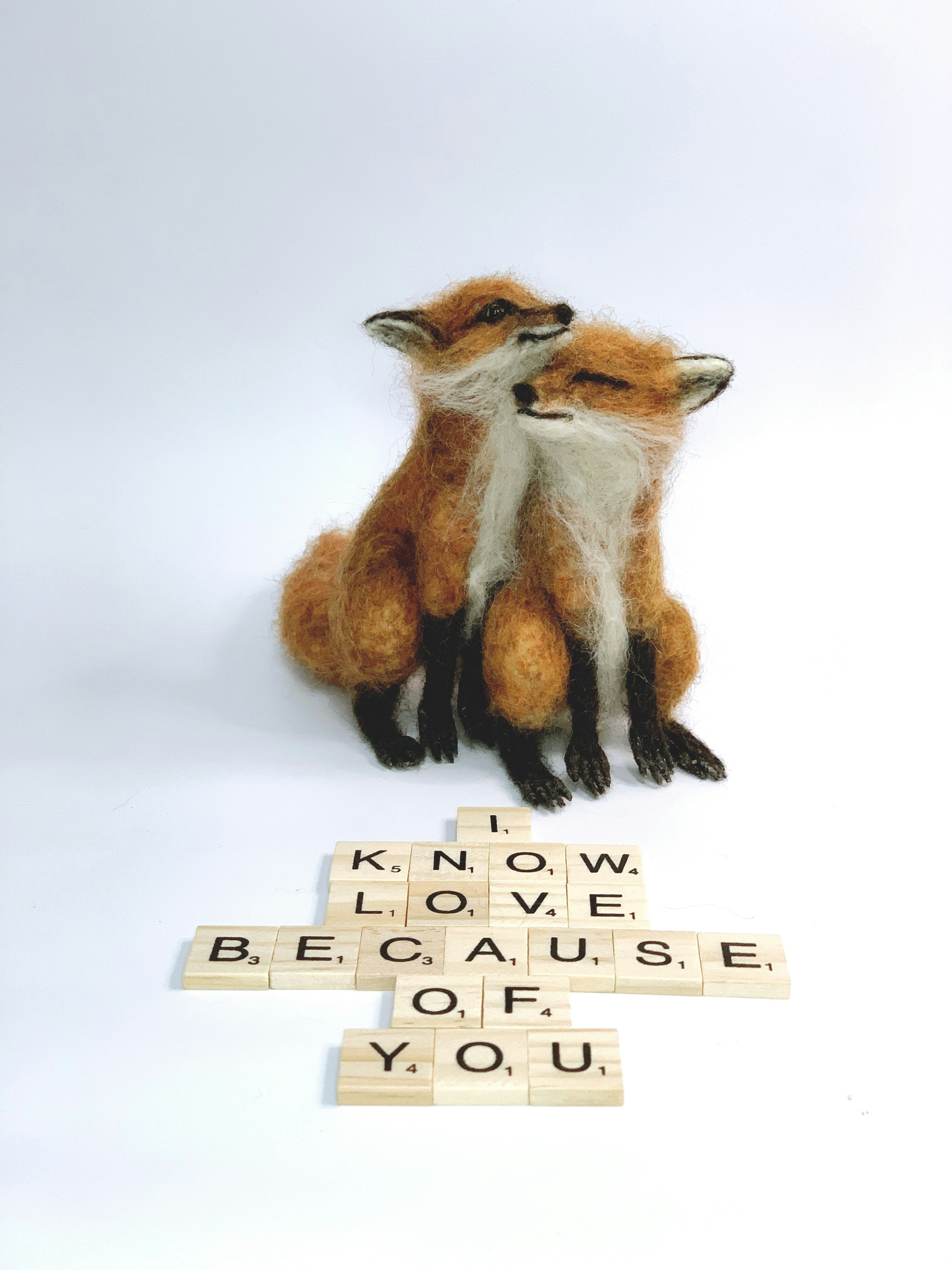 A couple of stuffed animals sitting next to each other