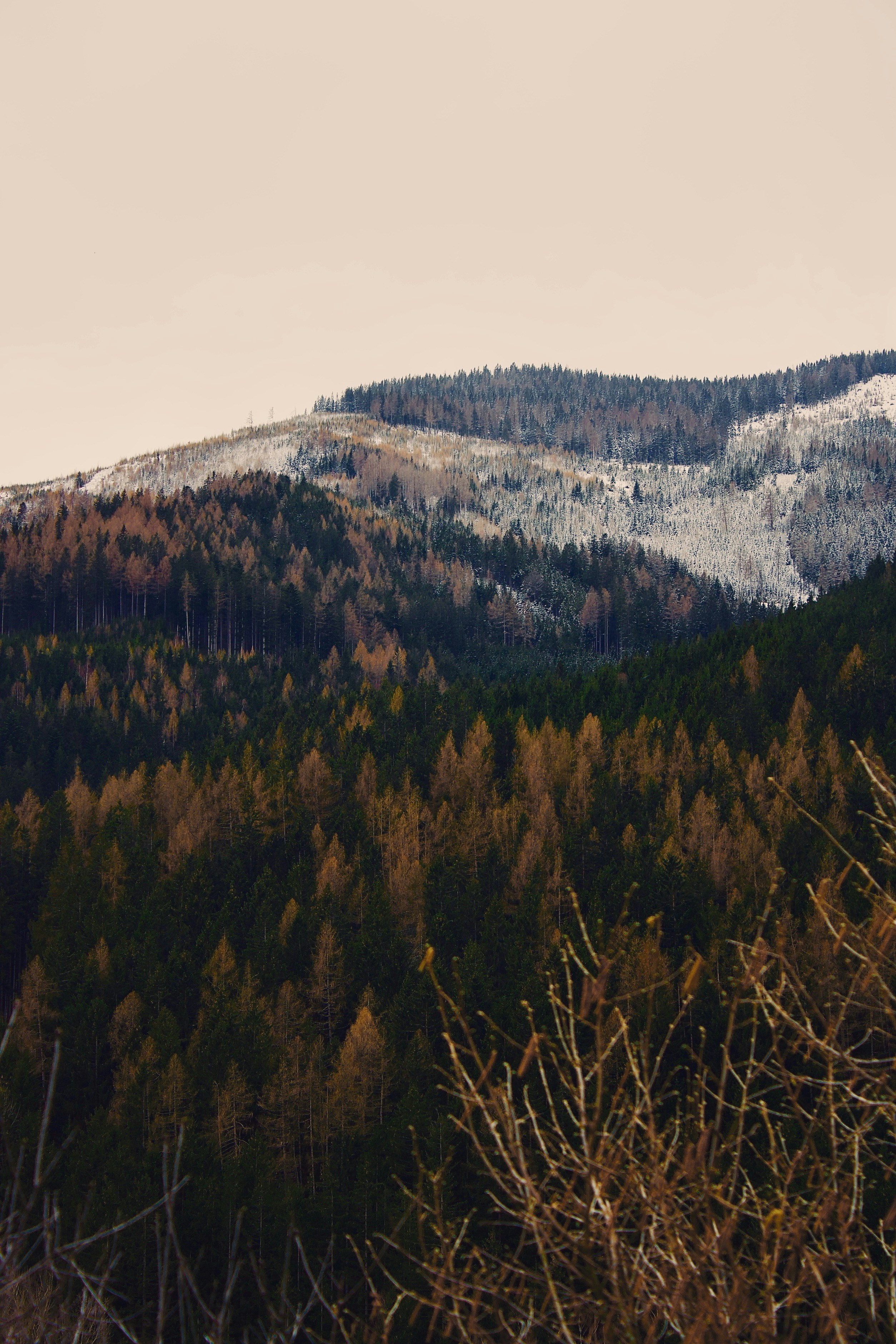 Photo by mihaelstojcevic