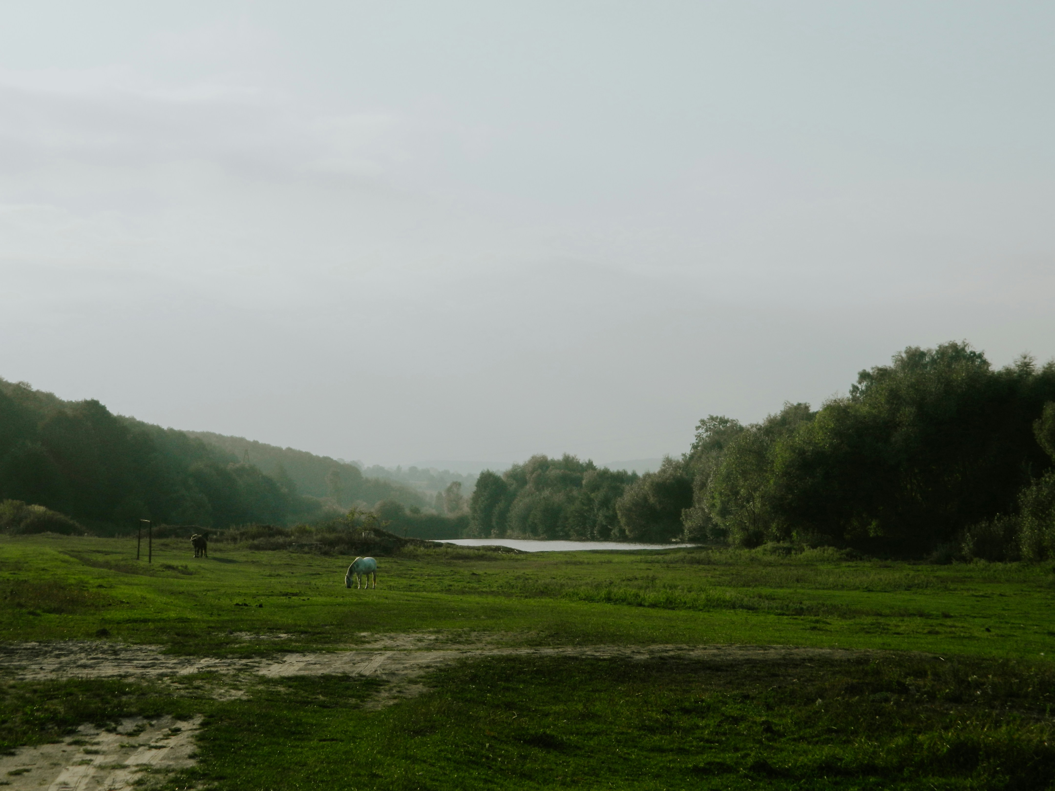 Photo by viktorsmoliak