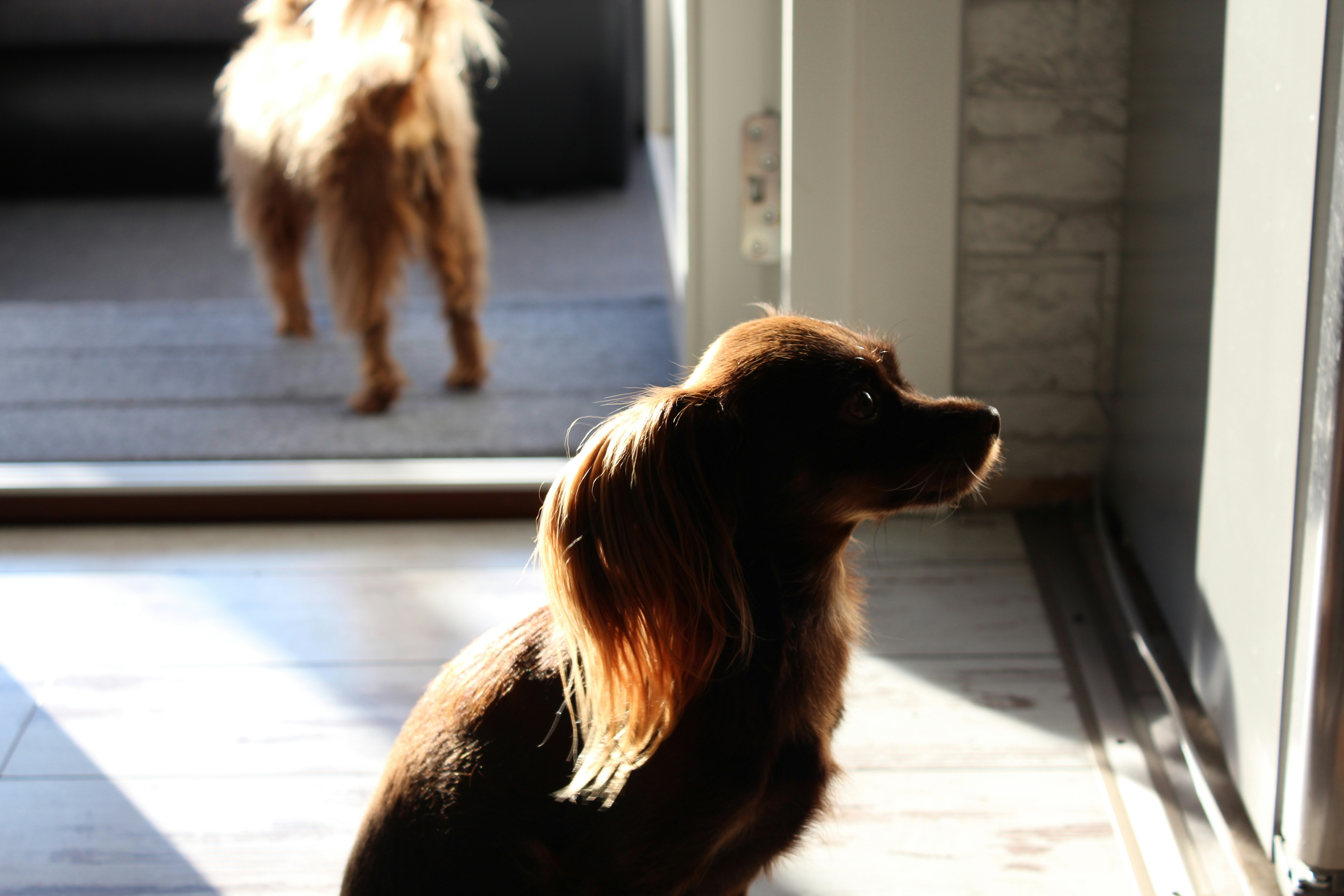 Photo by superman2200