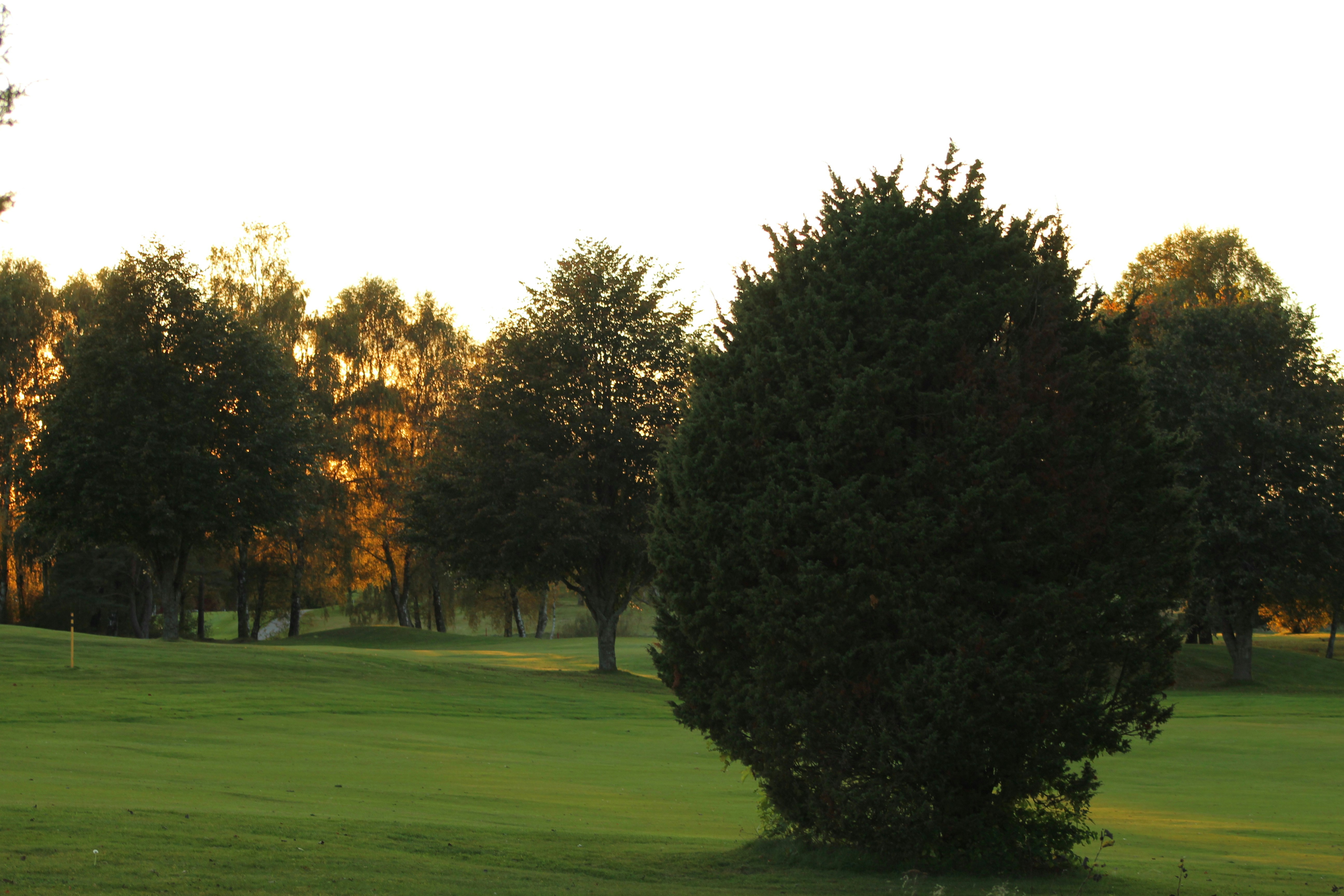 Photo by superman2200