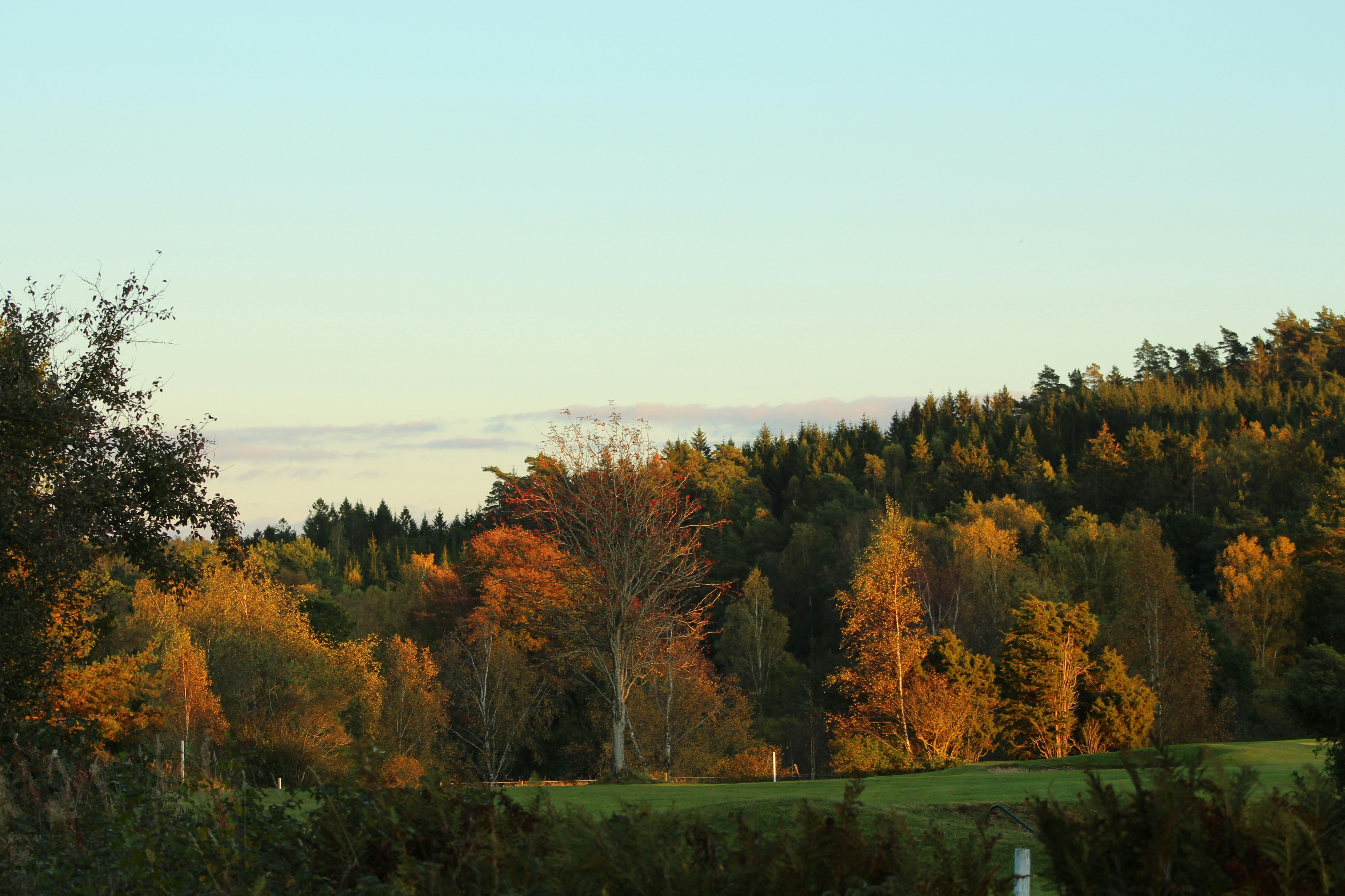 Photo by superman2200