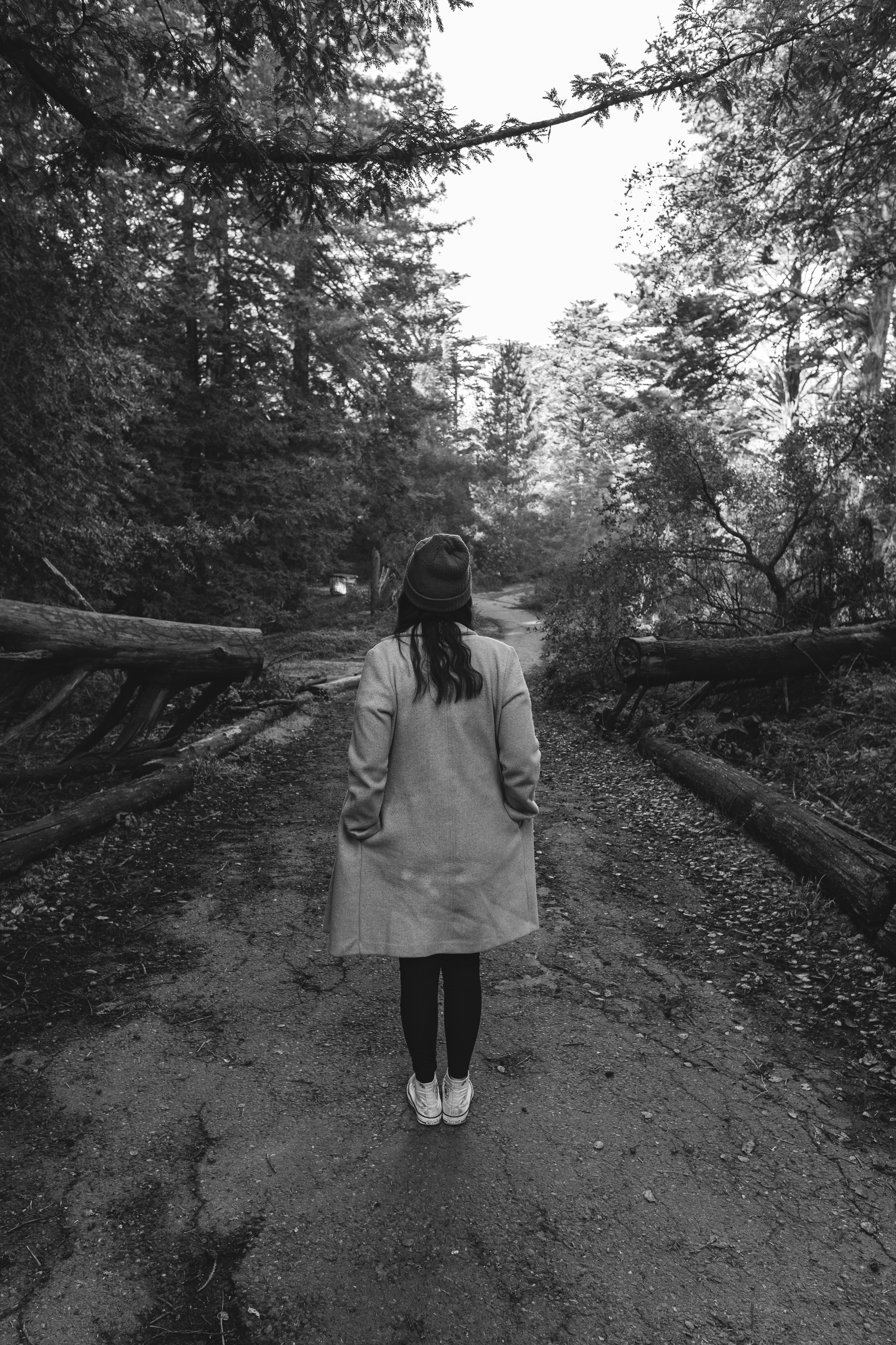 Photo by christopherstites