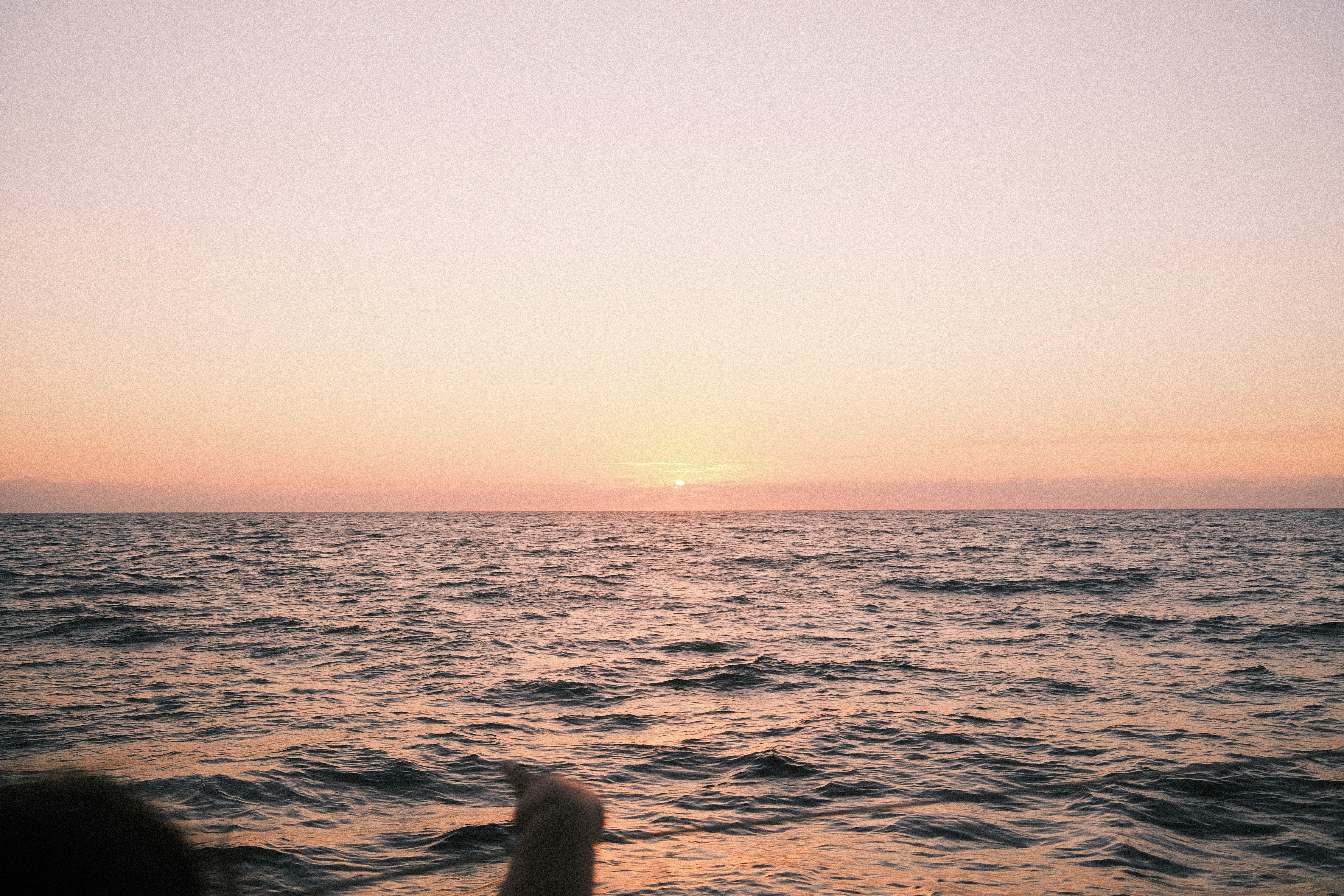 Photo by matthewye
