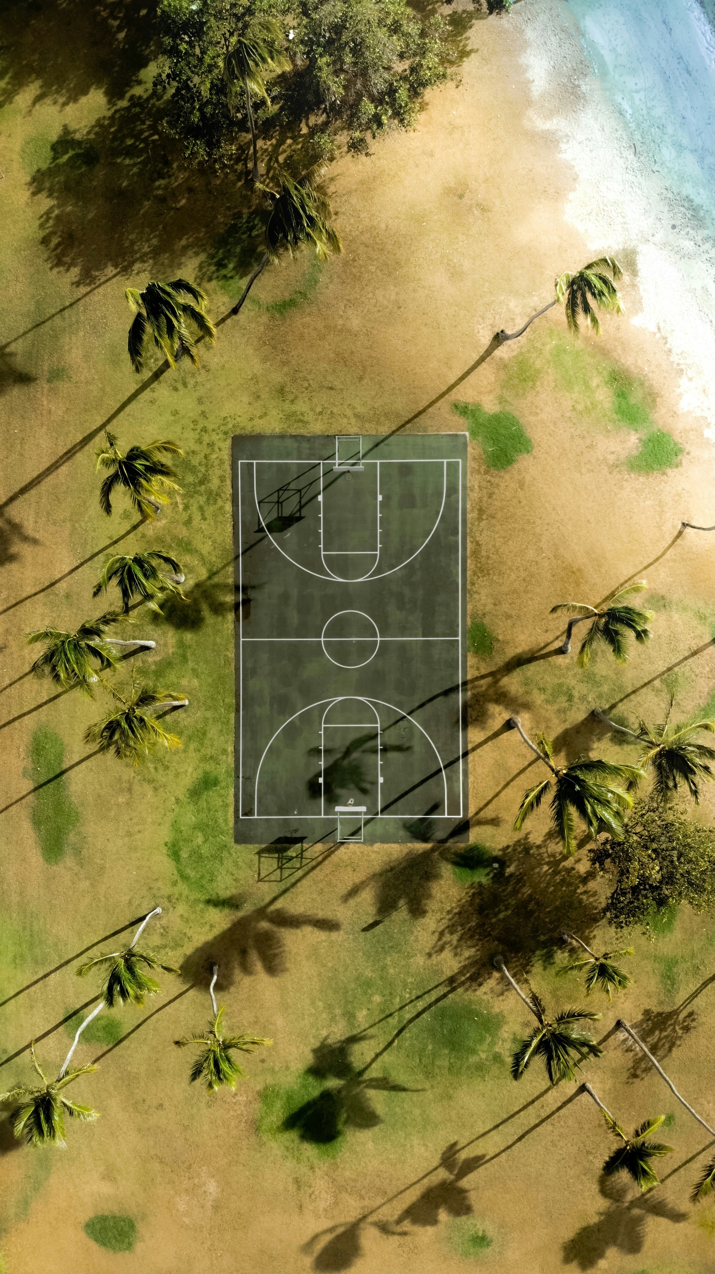 photo-1734732127498-9f4acffcf4b3?ixid=M3wxMjA3fDB8MXxzZWFyY2h8MTc0fHxyZWRkaXQlMjBuYmF8ZW58MHx8fHwxNzUzNjYxOTQzfDA%5Cu0026ixlib=rb-4.1.0