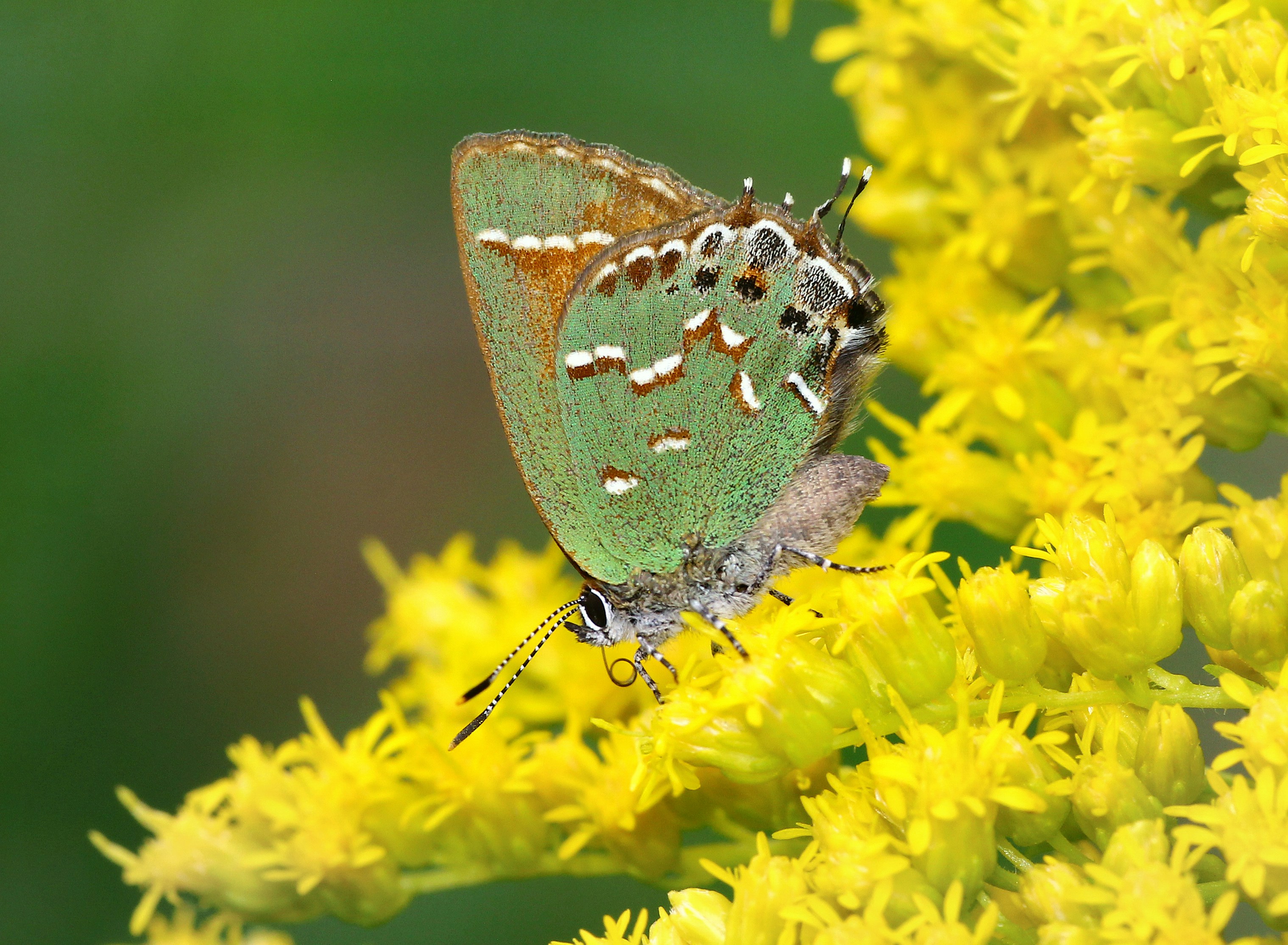 Photo by telliottmbamsc