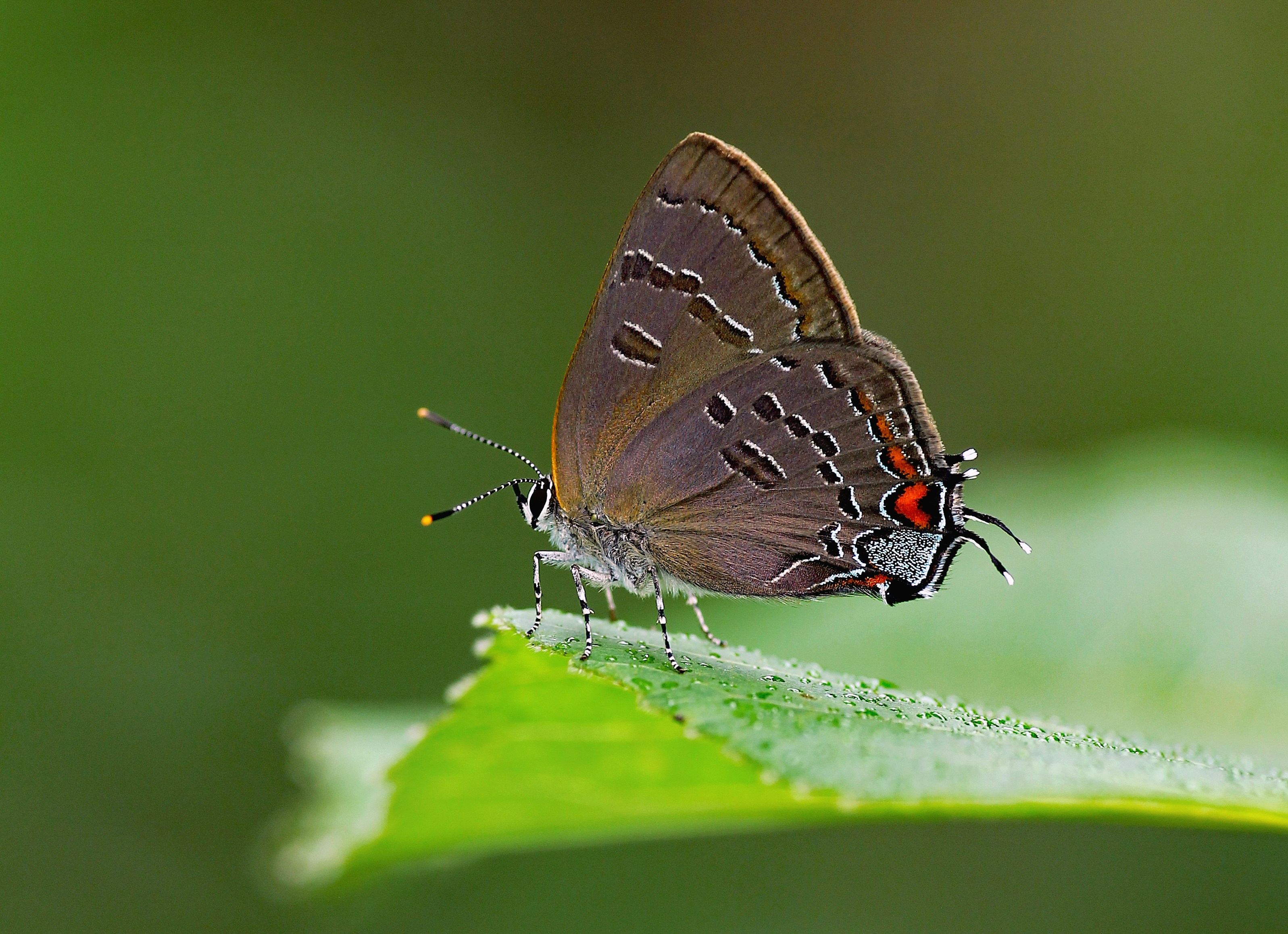 Photo by telliottmbamsc