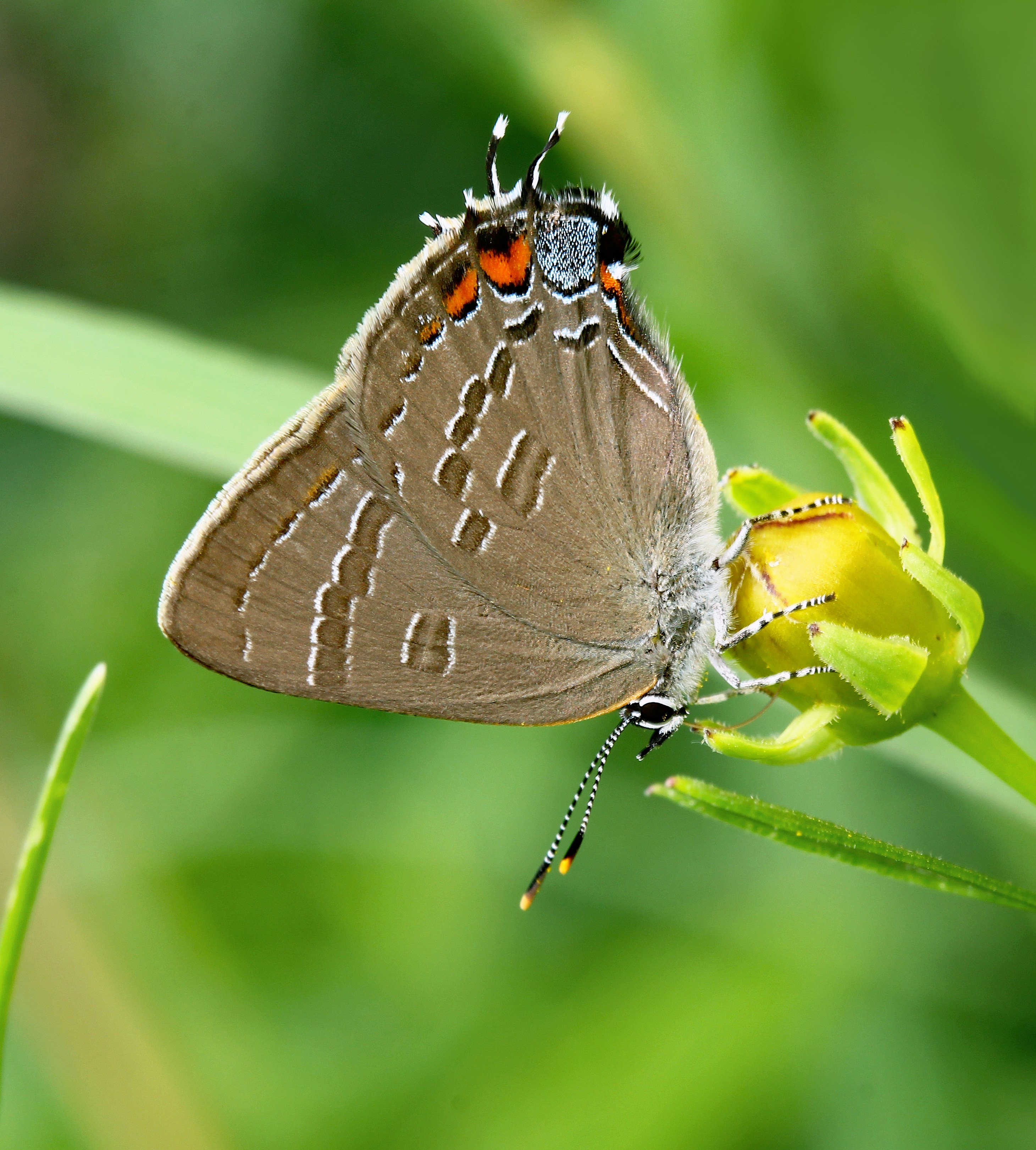 Photo by telliottmbamsc