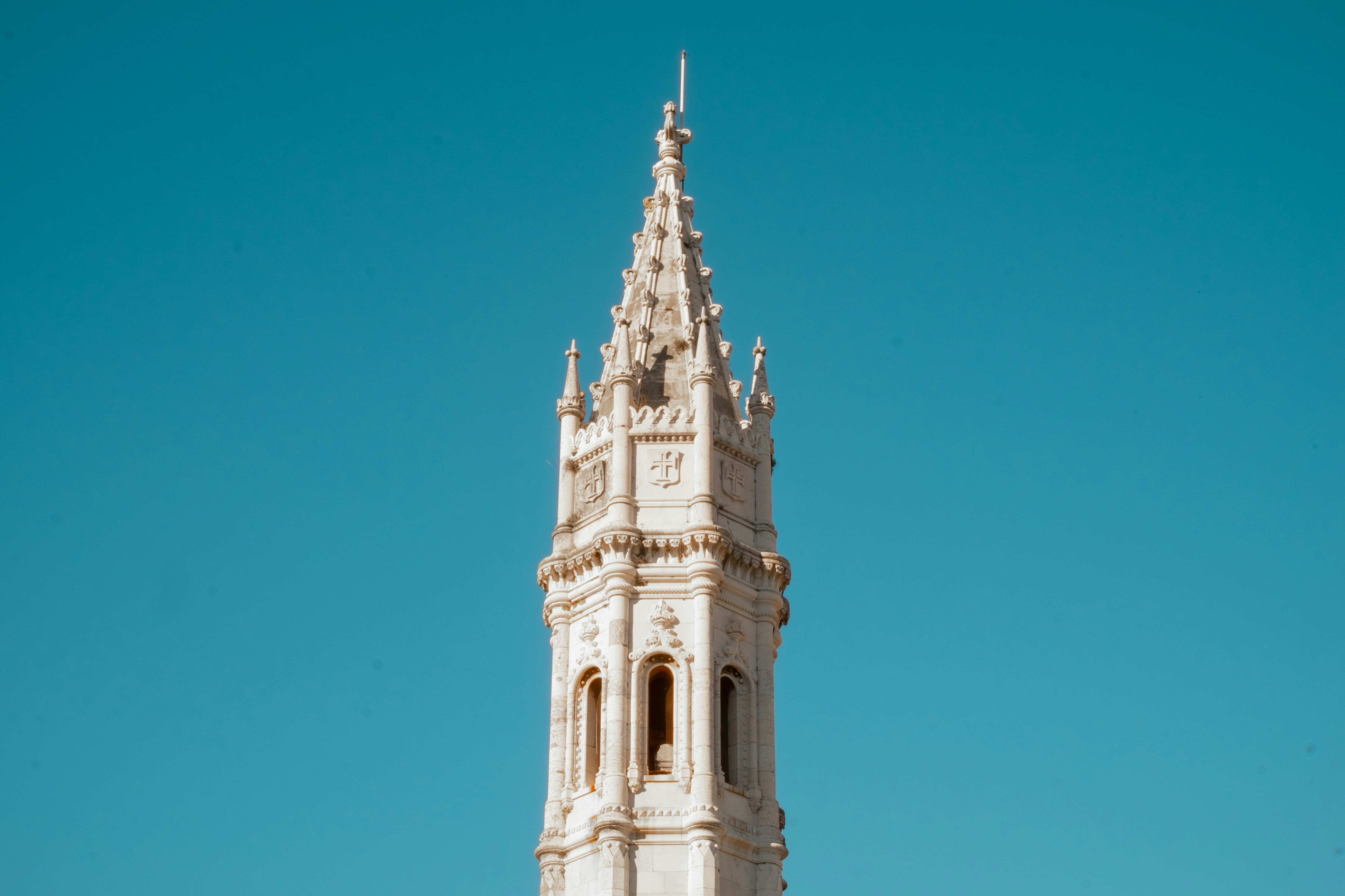 Photo by noelephantsflying