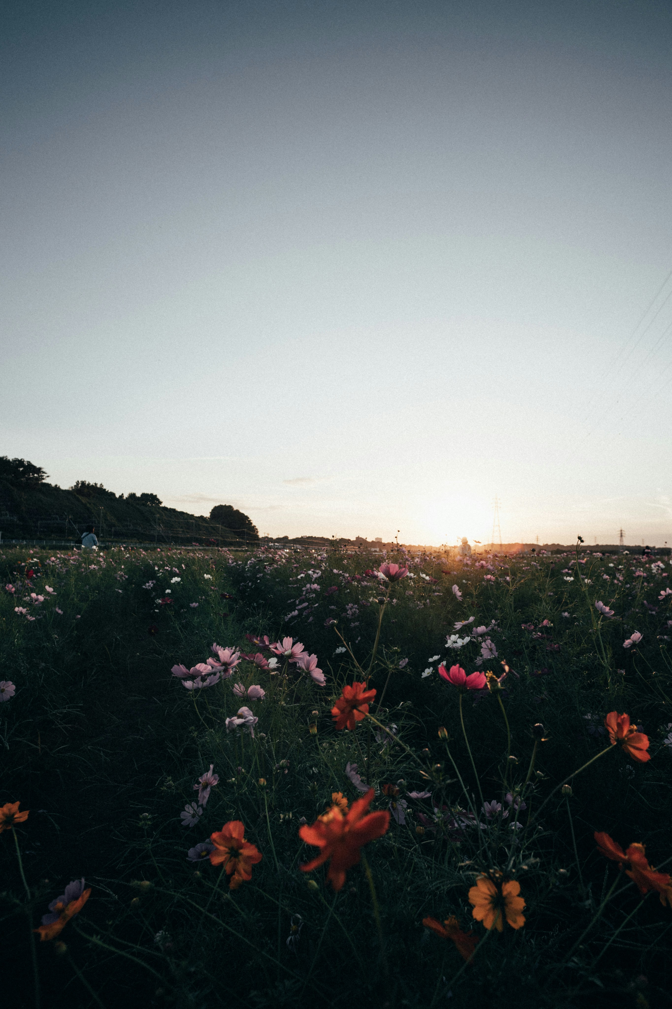 Photo by tsuyoshikozu