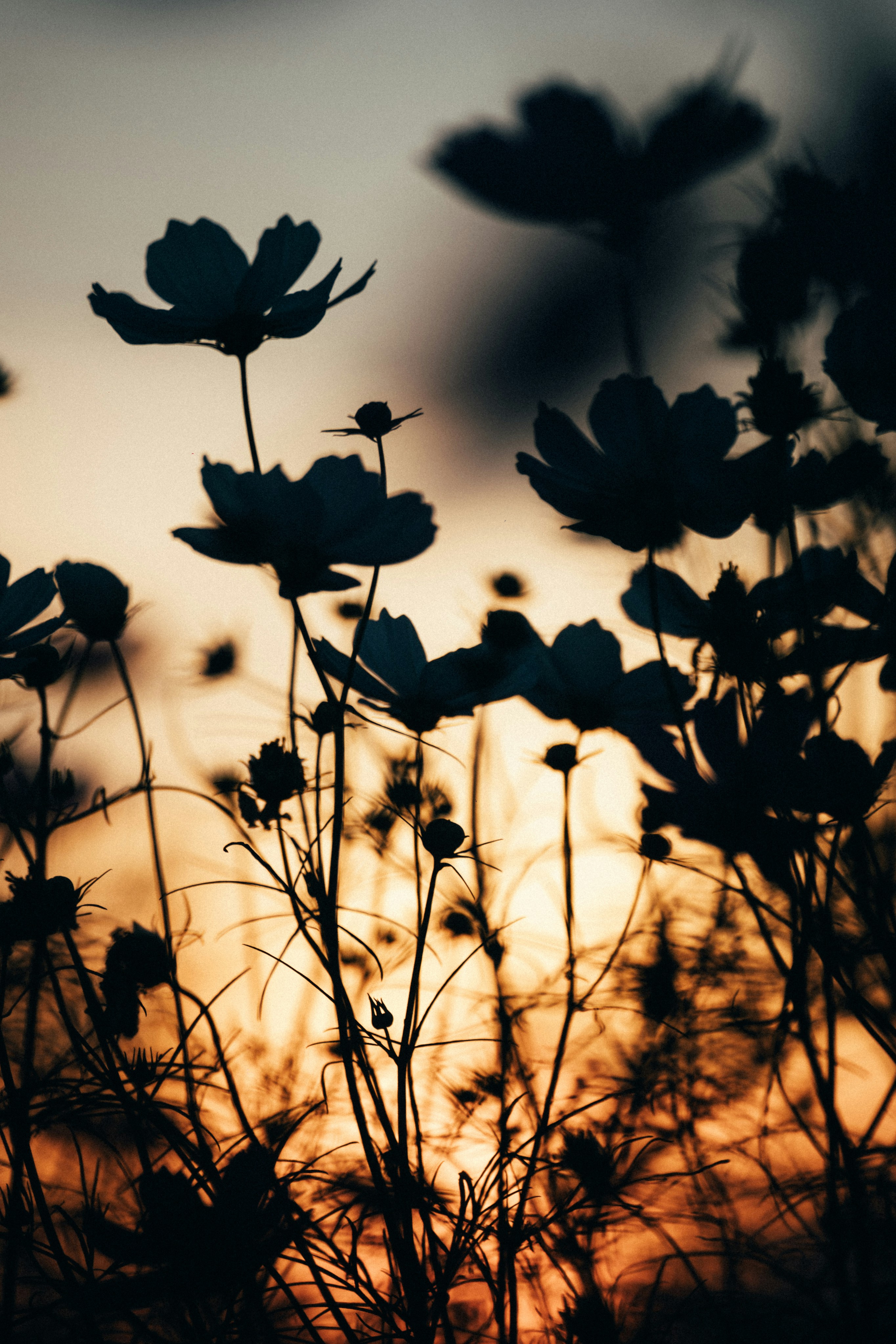 Photo by tsuyoshikozu