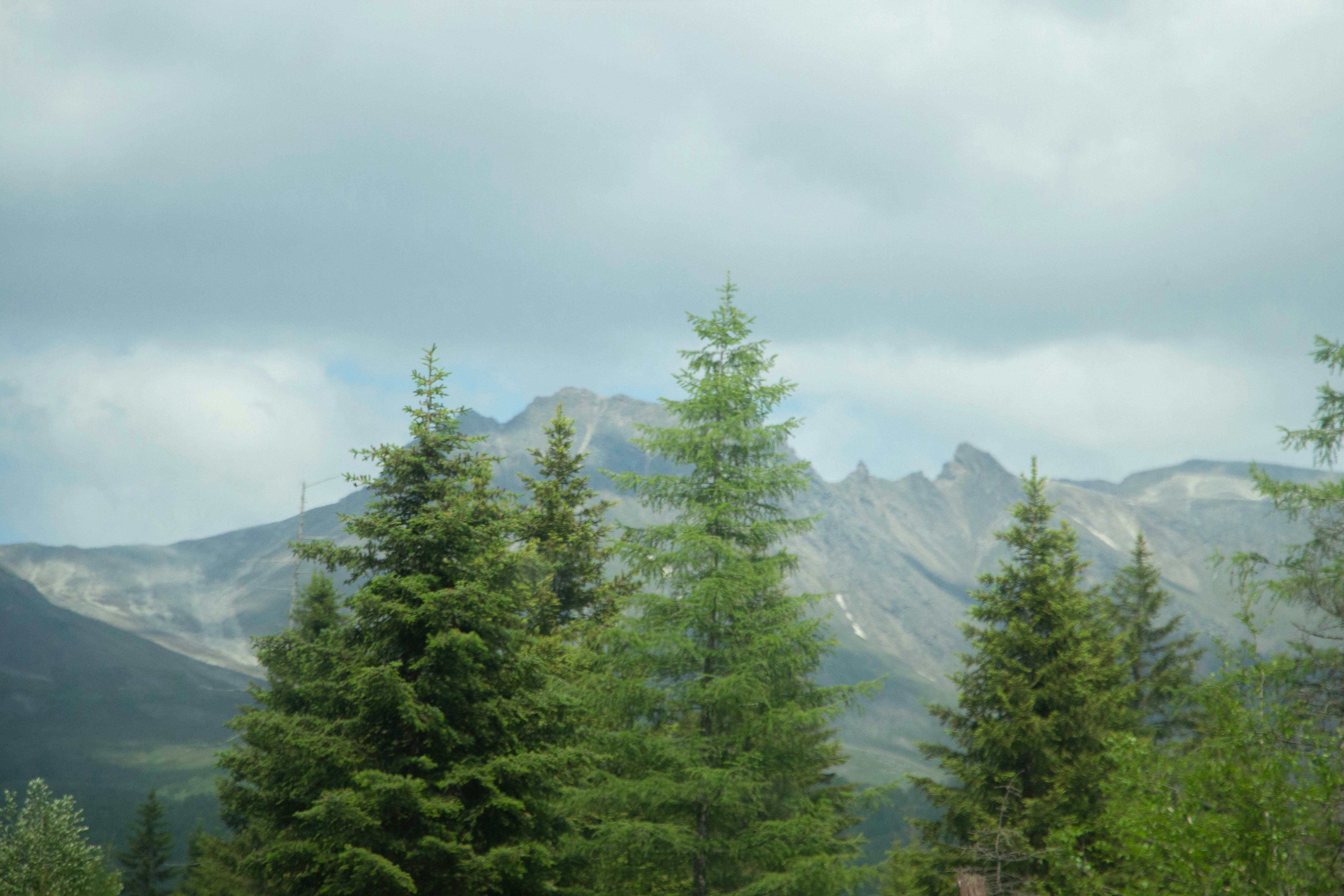 Photo by maro_of_sengu