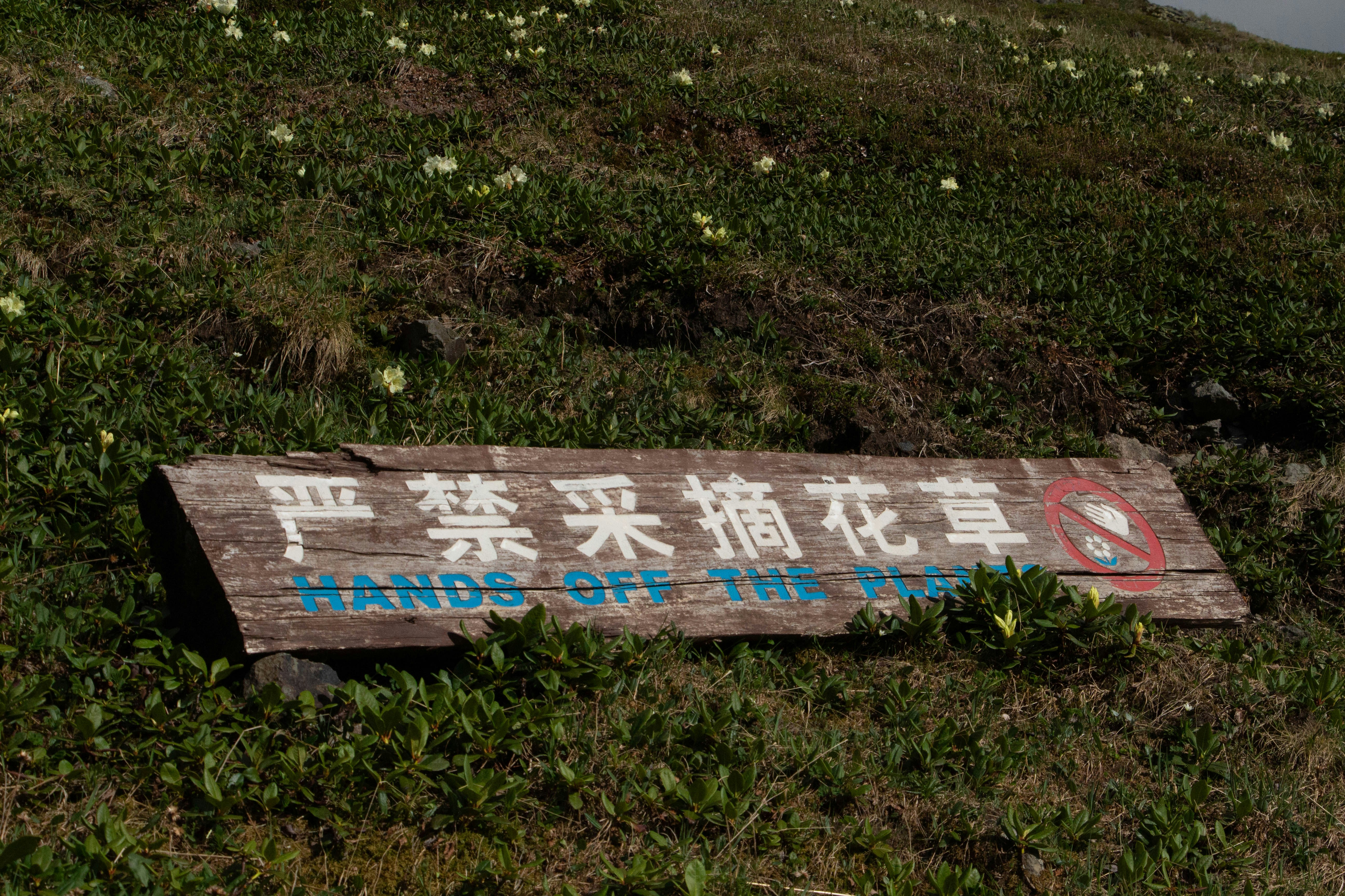 Photo by maro_of_sengu