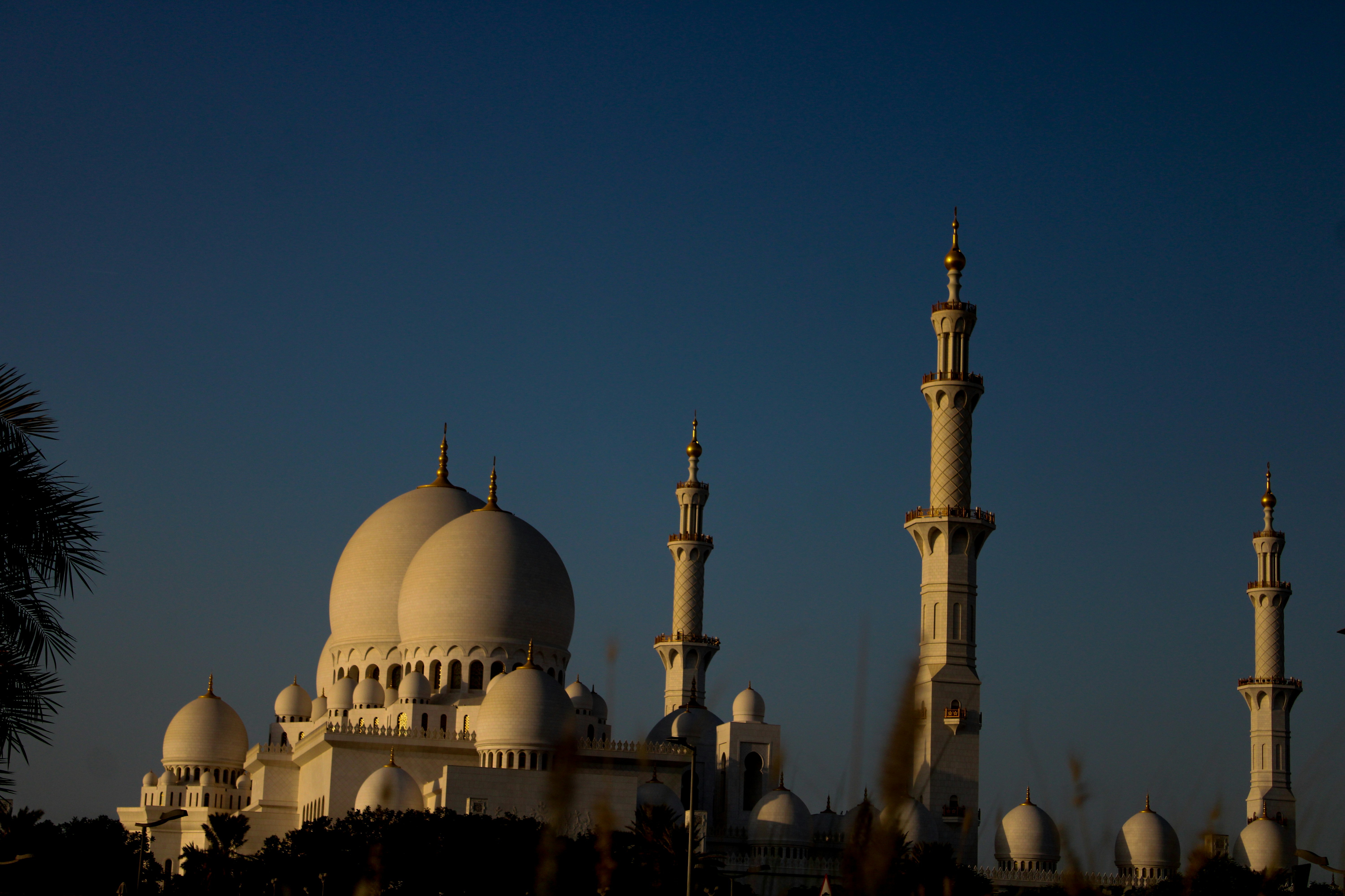 Photo by shots_by_abu