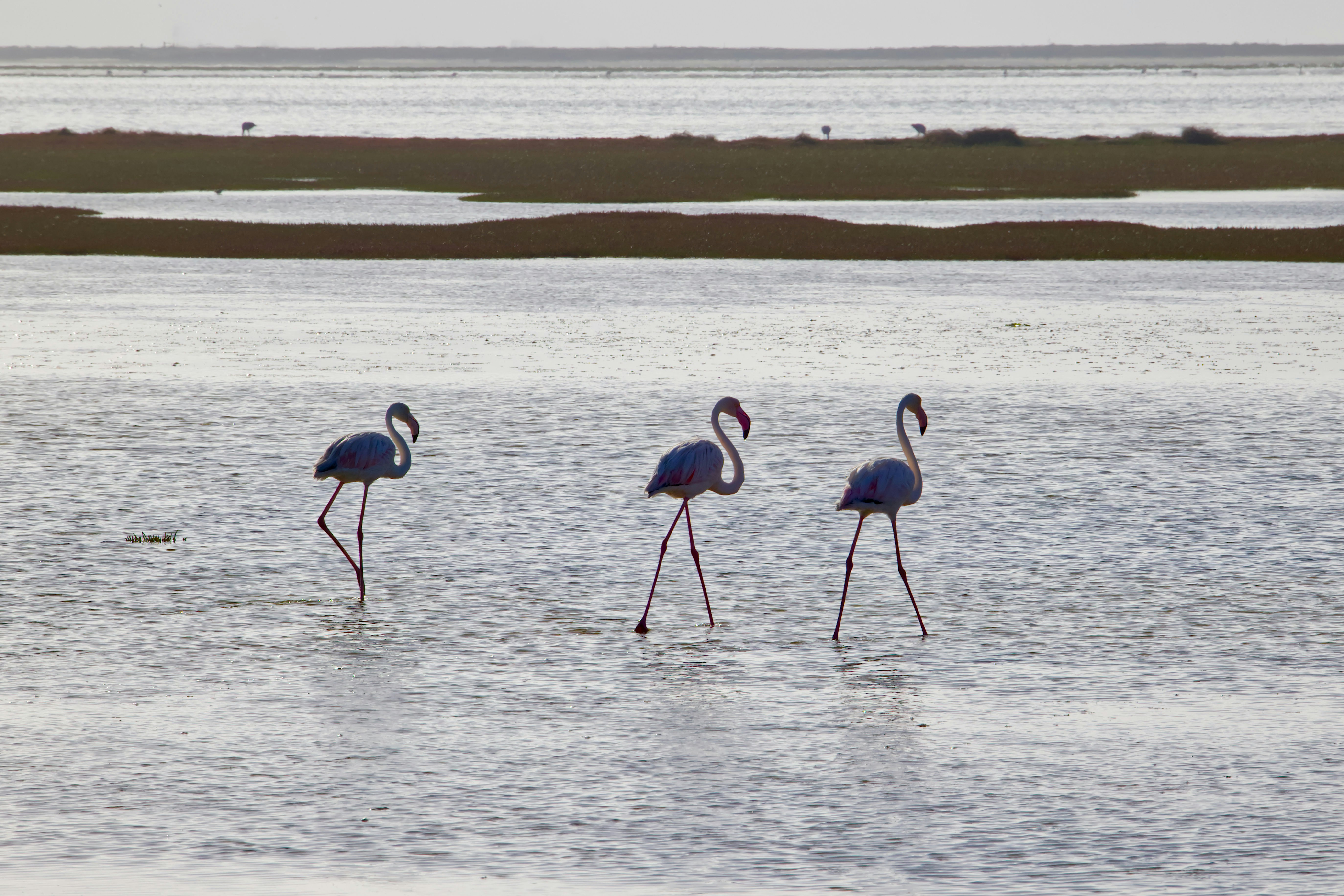Walvis Bay – Day Trips & Surroundings
