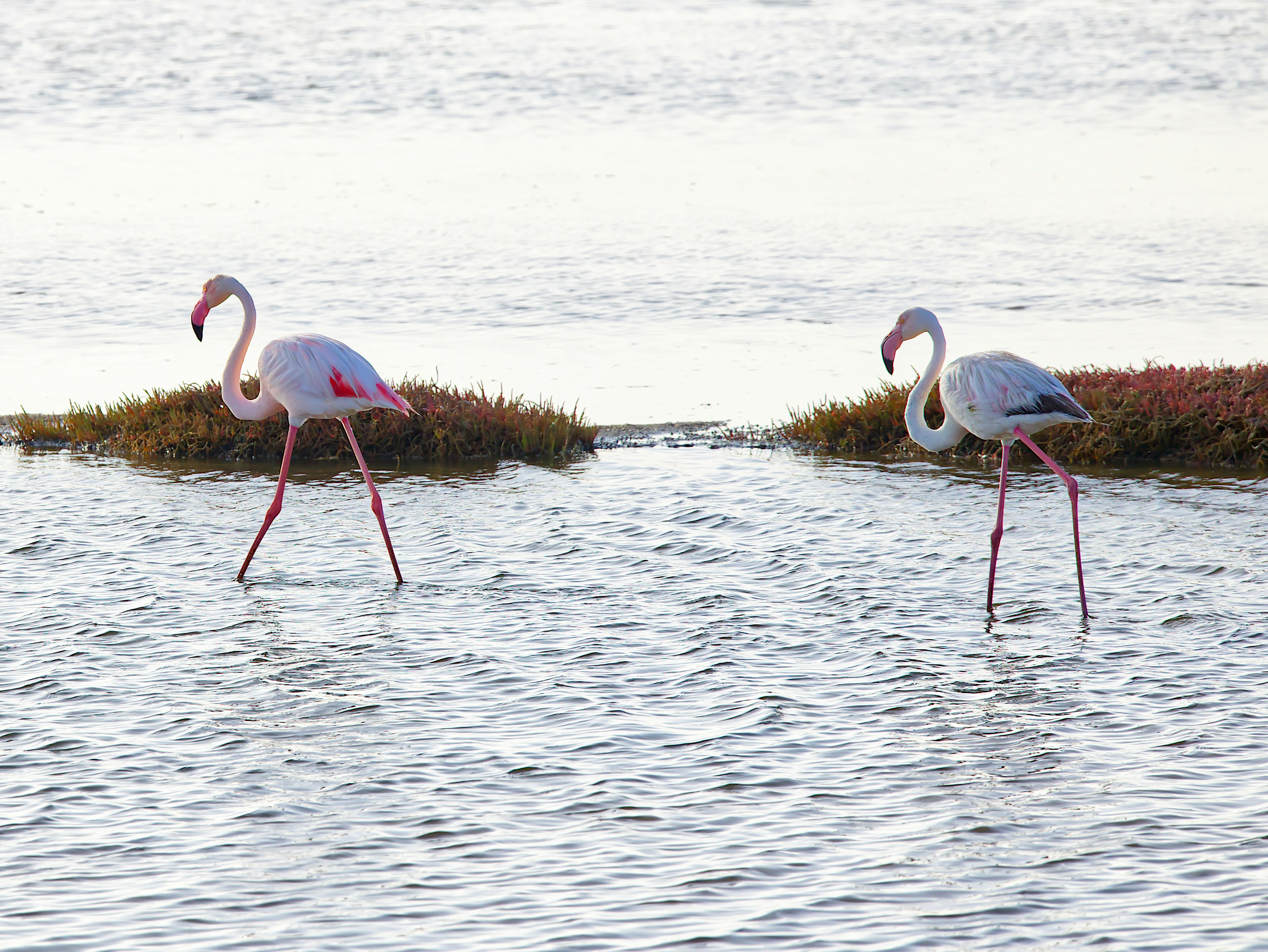 Walvis Bay – Final Summary