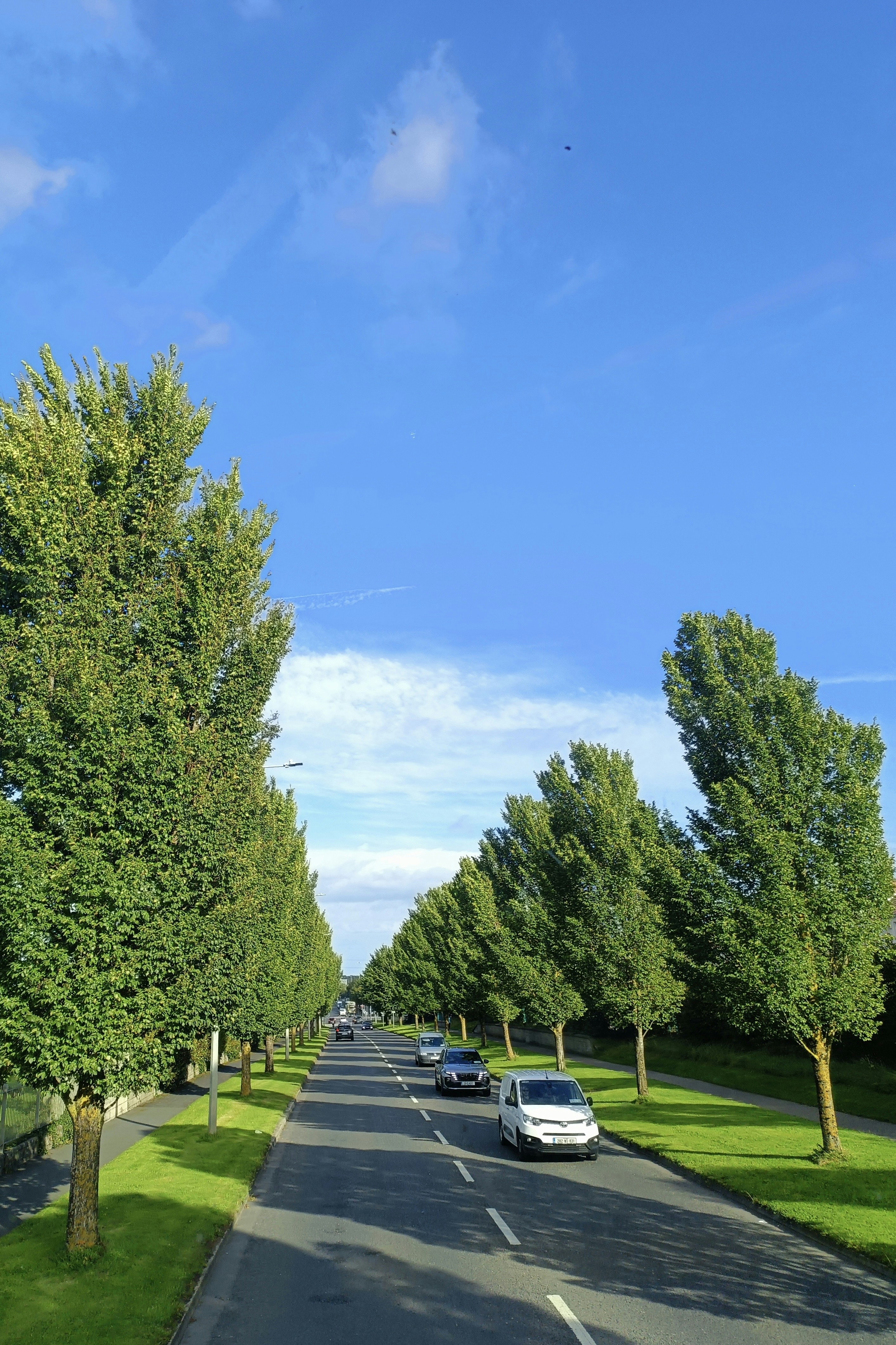 A car traveling on a scenic road with trees and open sky