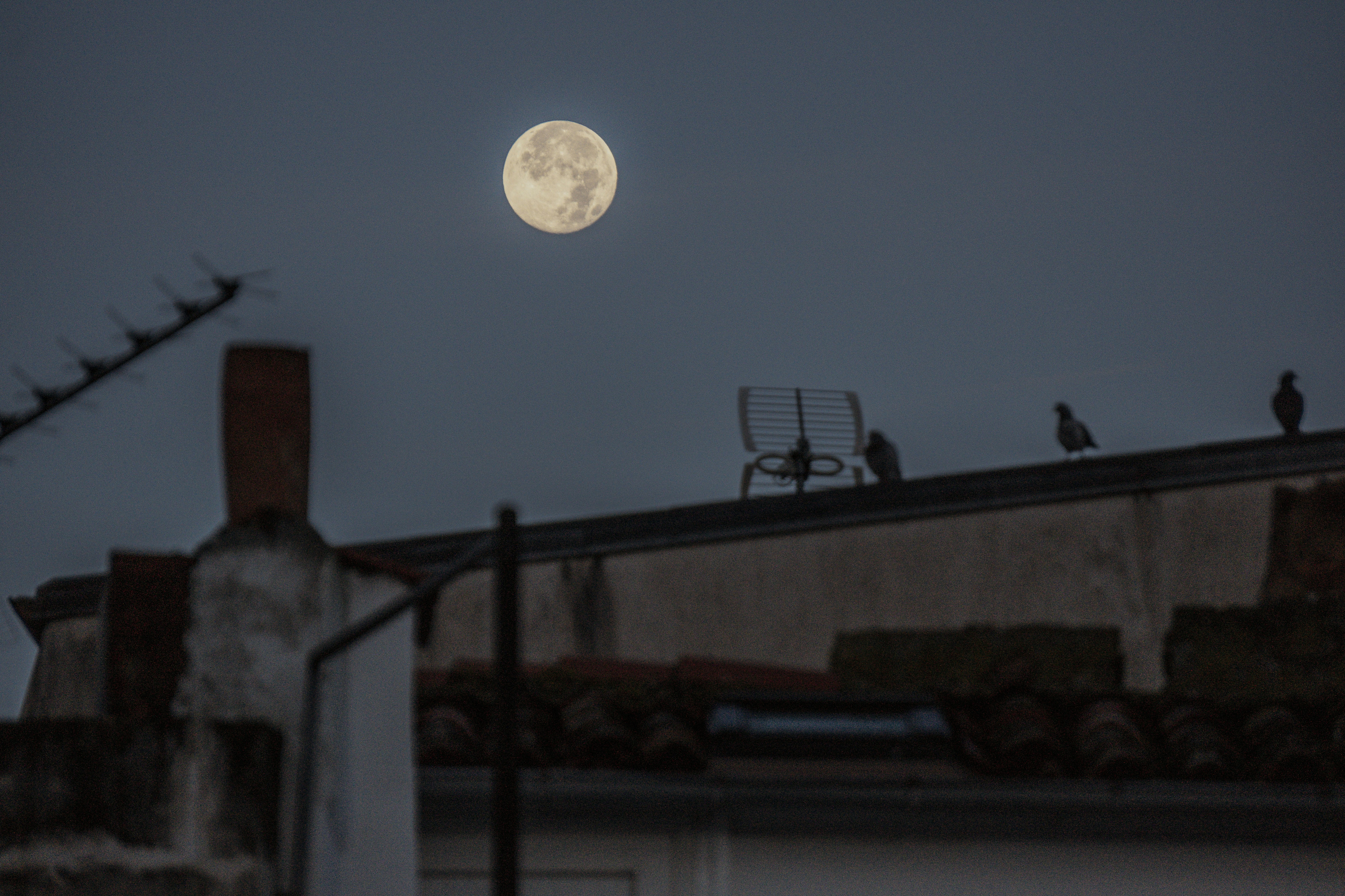 Photo by arnotho