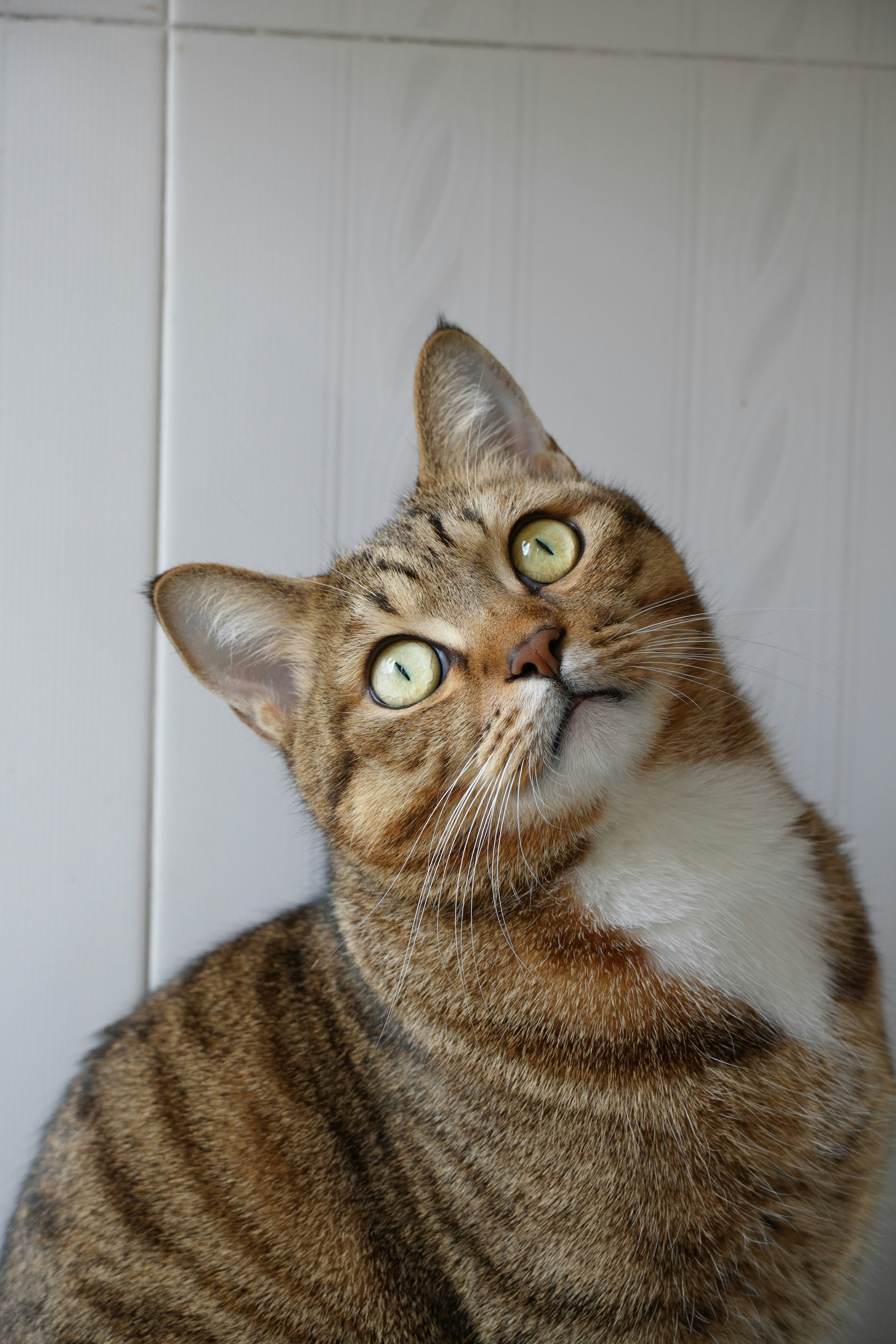 Photo by bubblyslayer