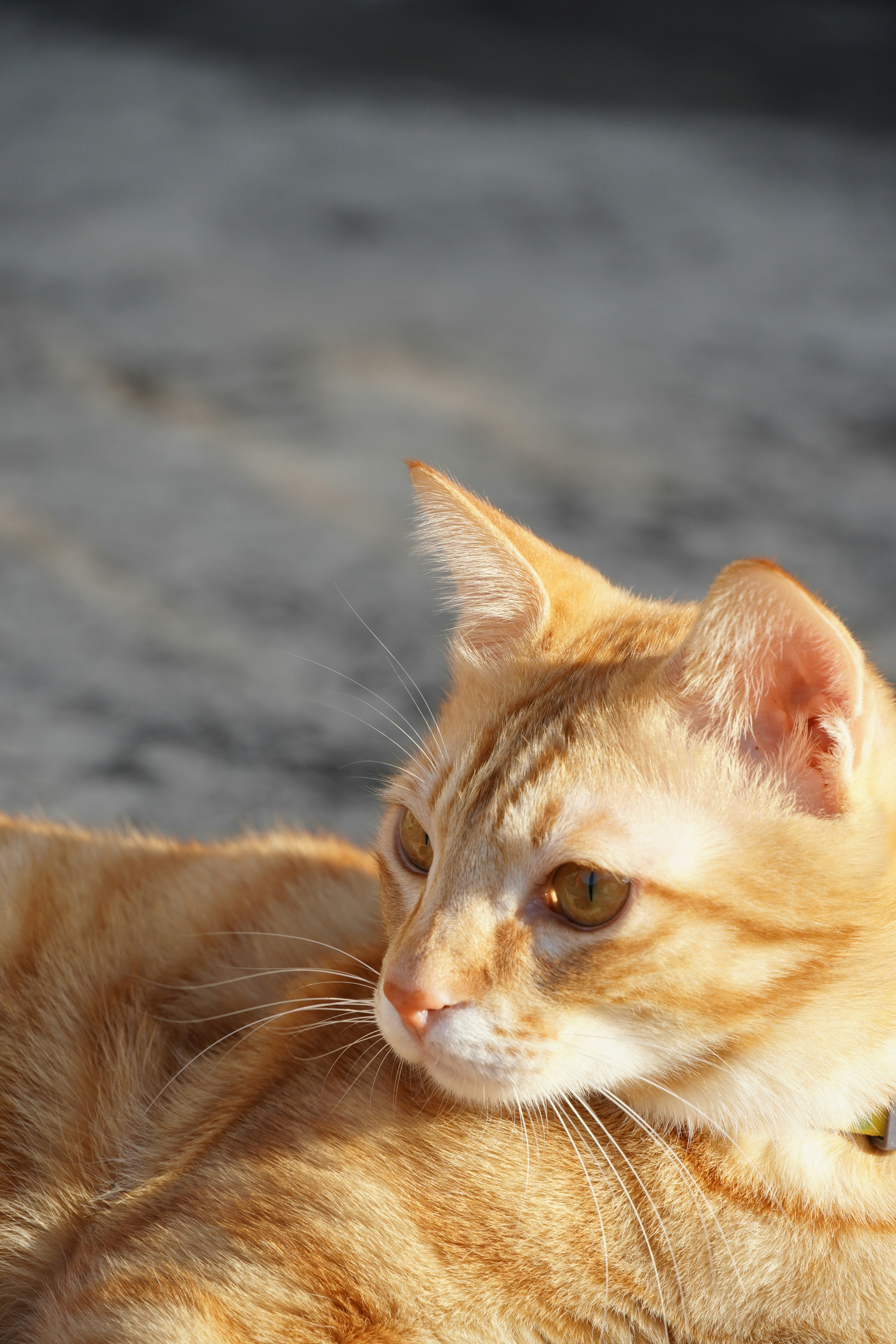 Photo by bubblyslayer