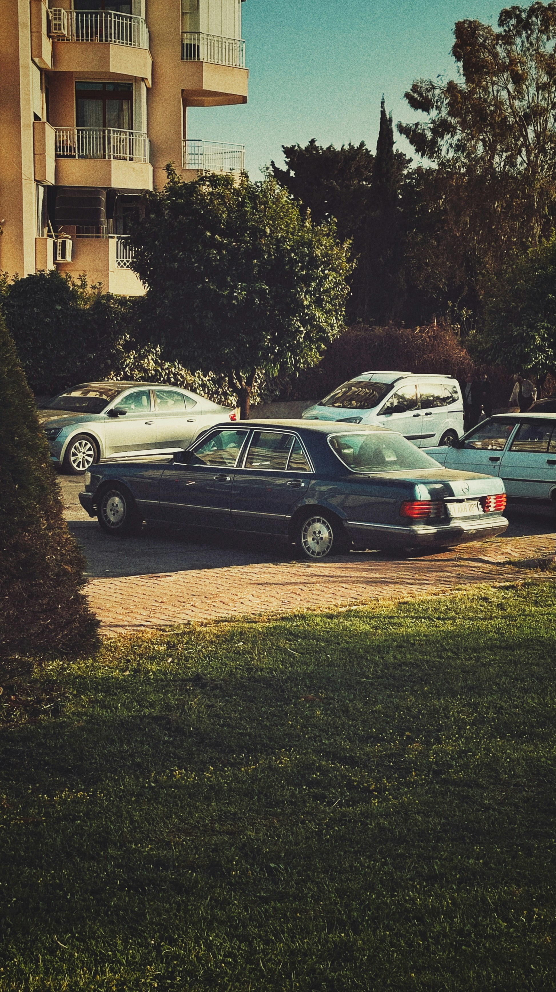 Photo by ardacankuru