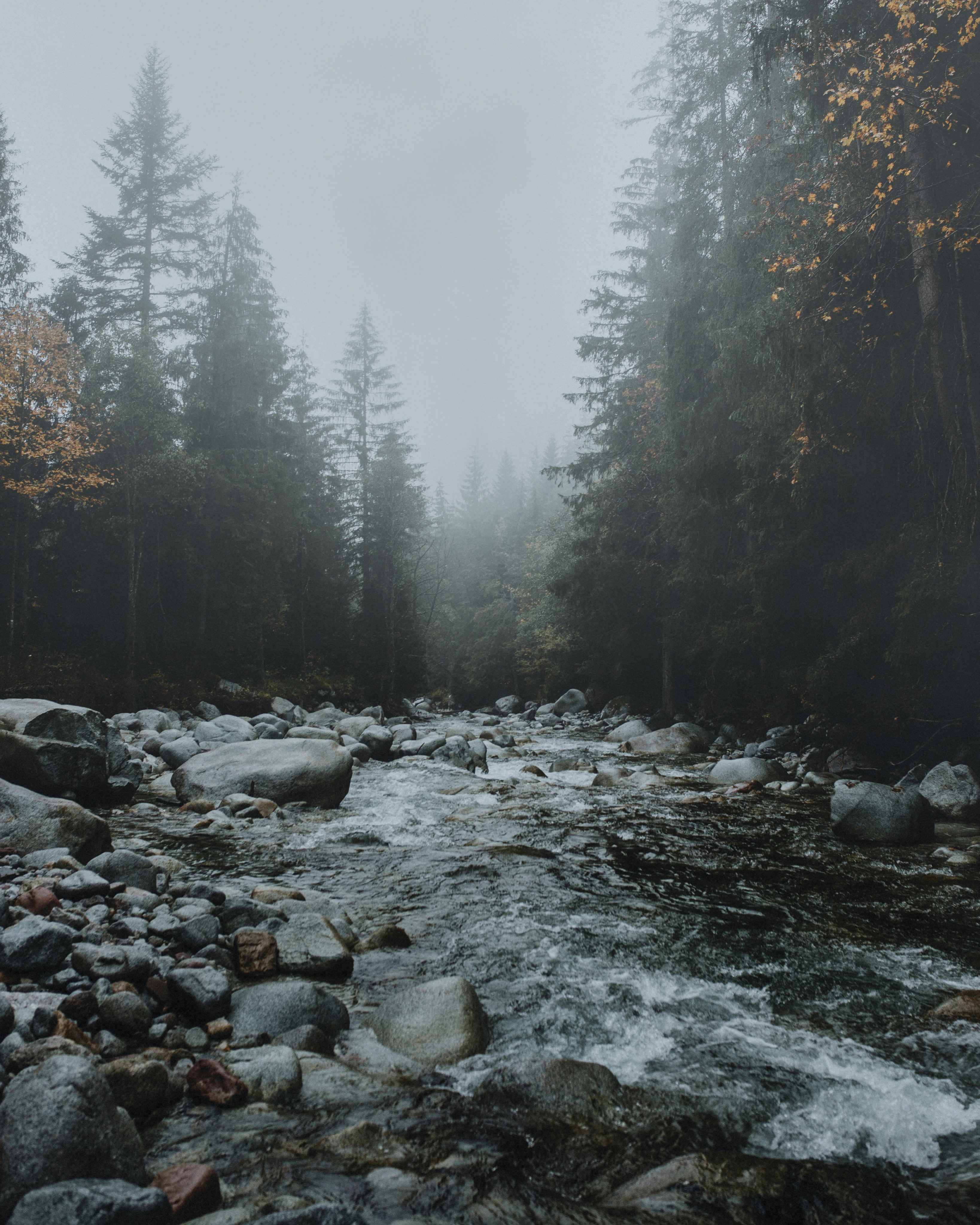 Photo by filipkvasnak