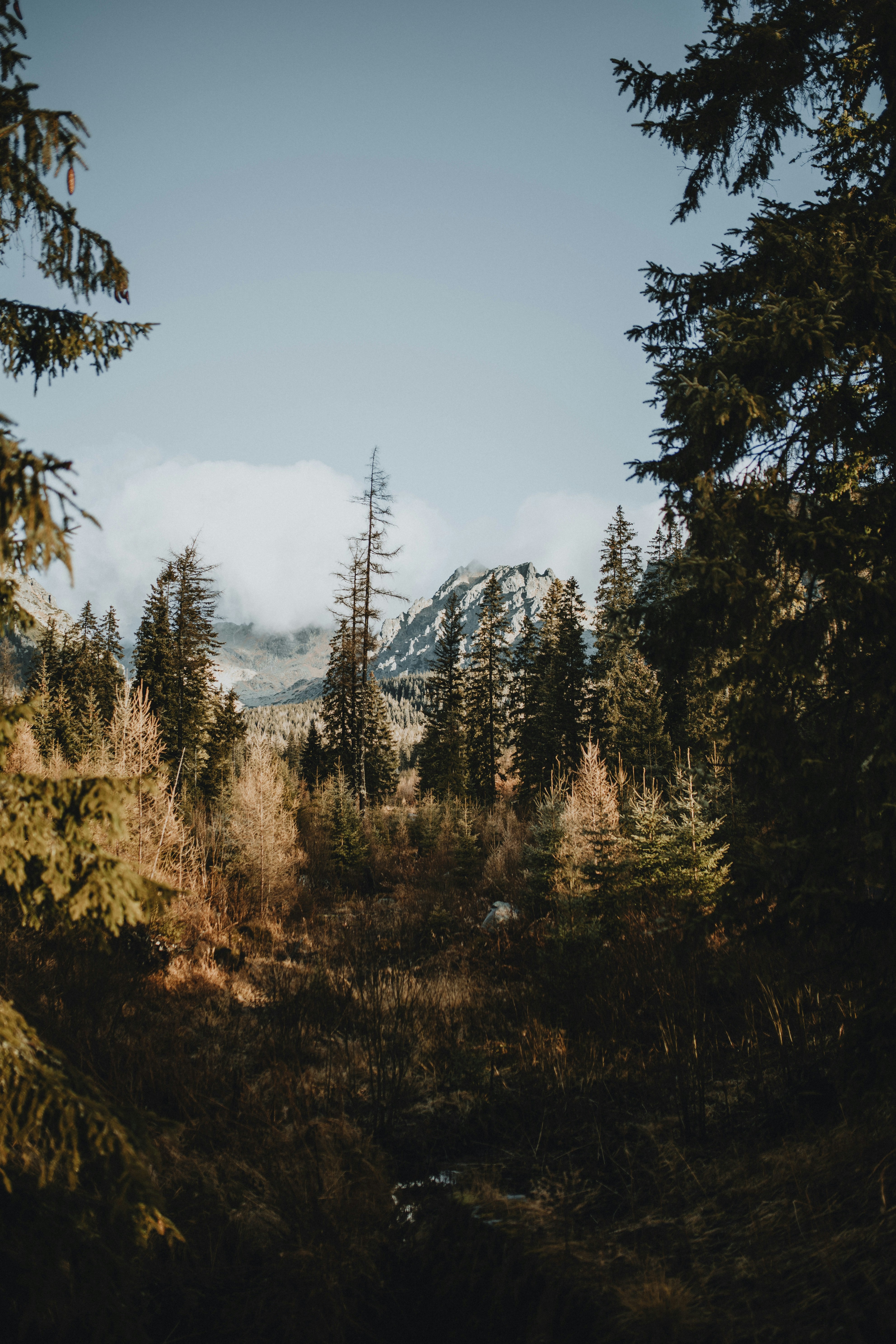 Photo by filipkvasnak