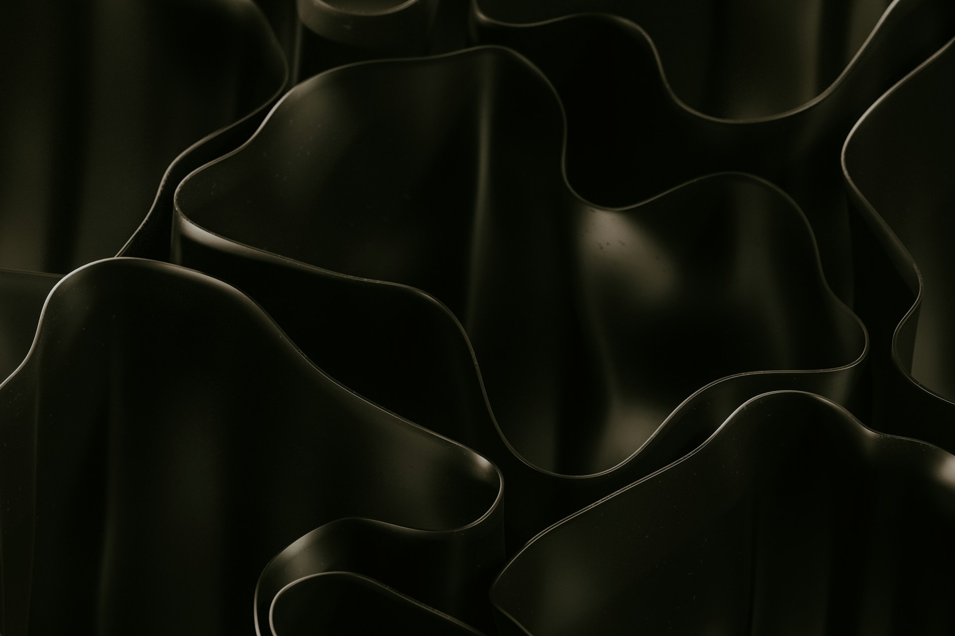 A black and white photo of a bunch of flowers