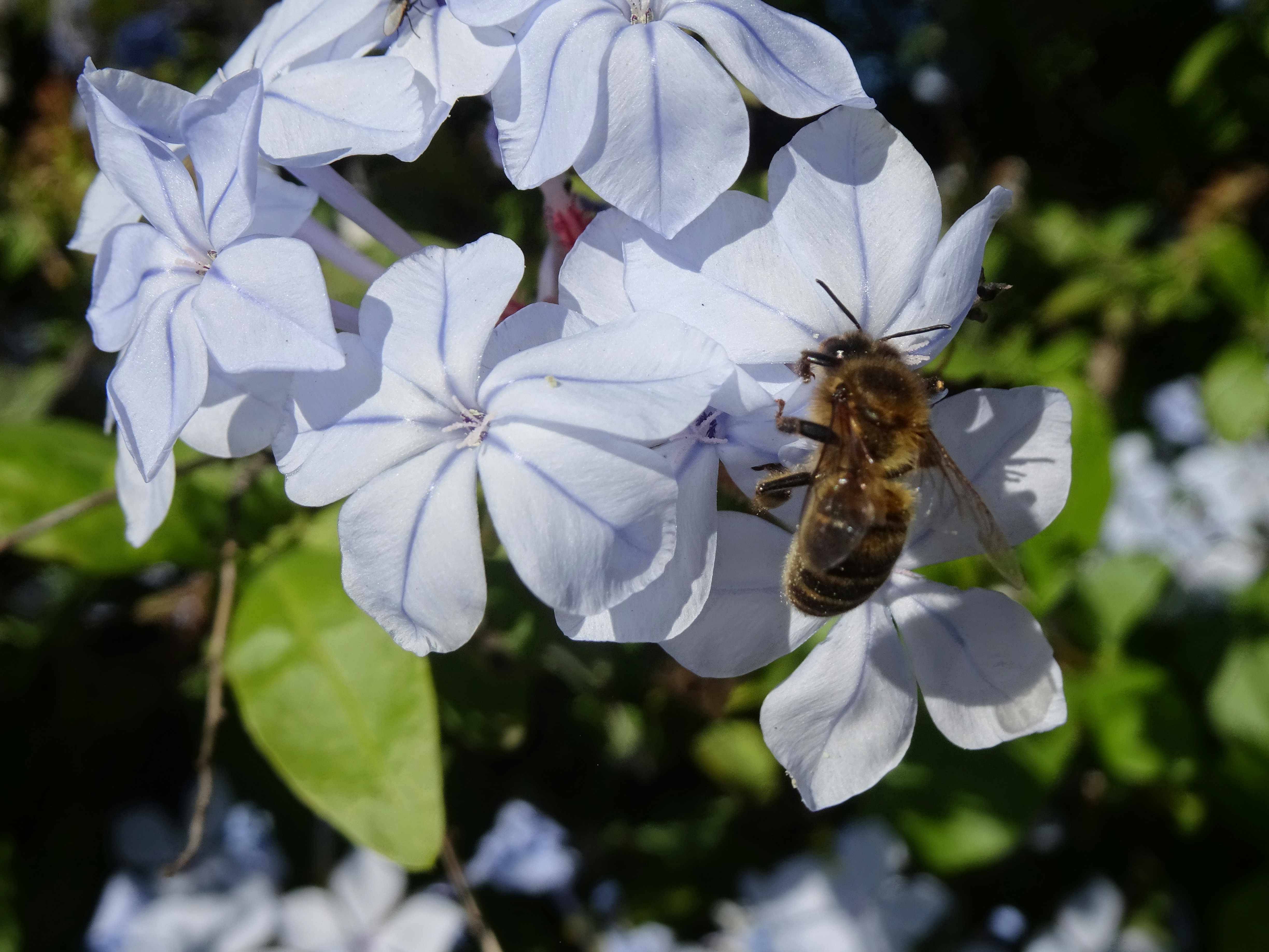 Photo by ludovico_06