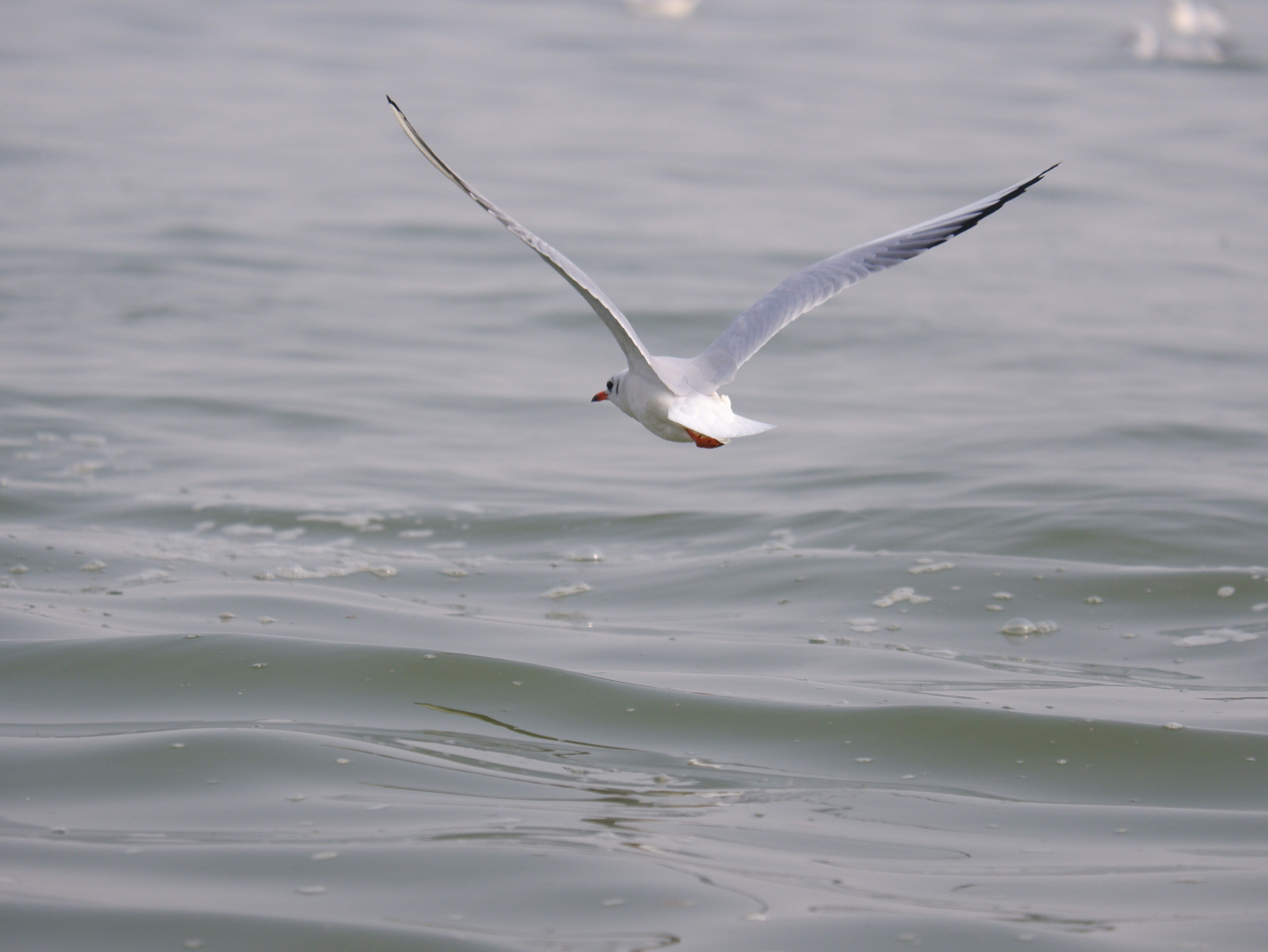 Photo by rakshityadav190