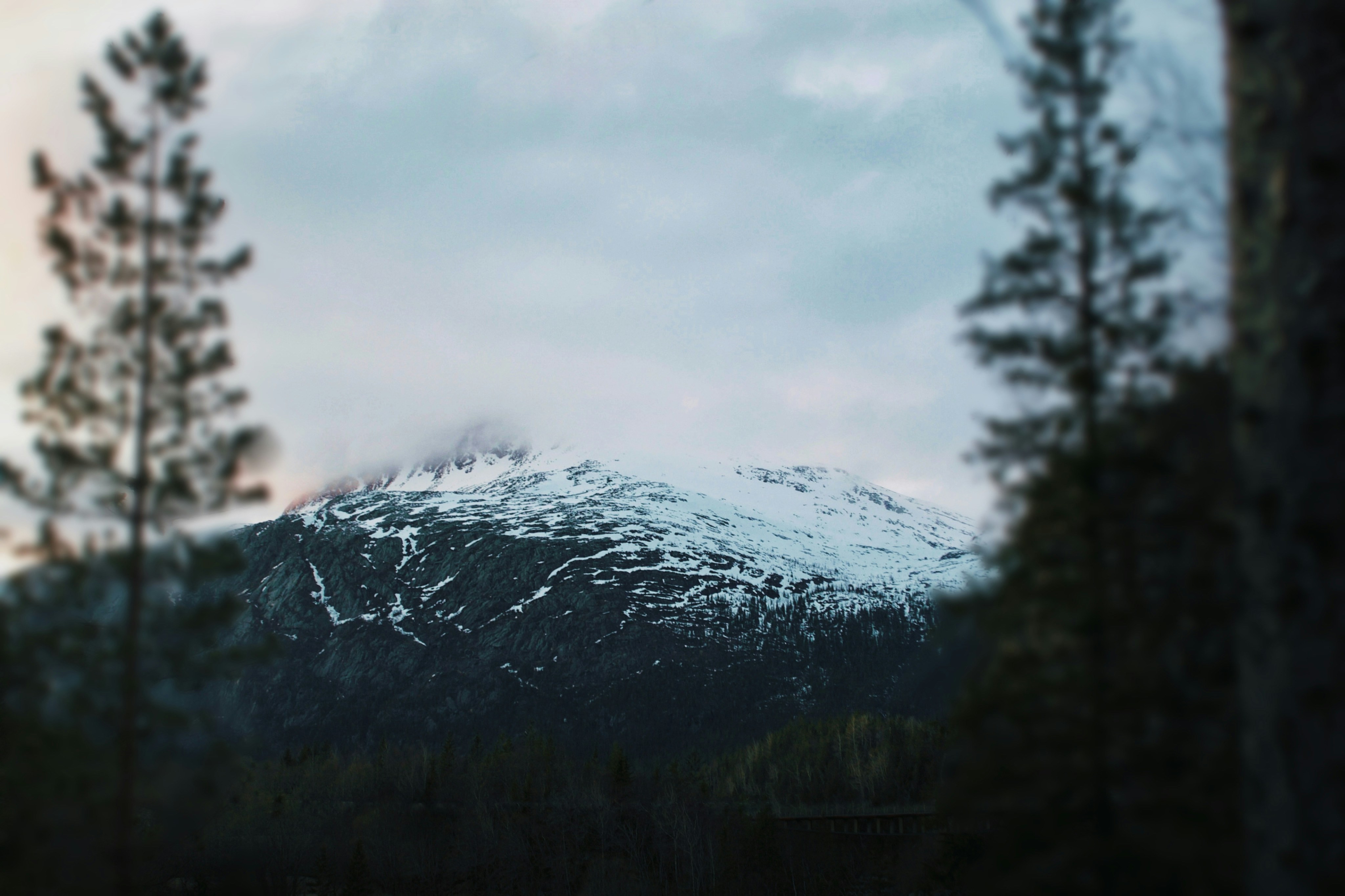 A snow covered mountain with trees in the foreground