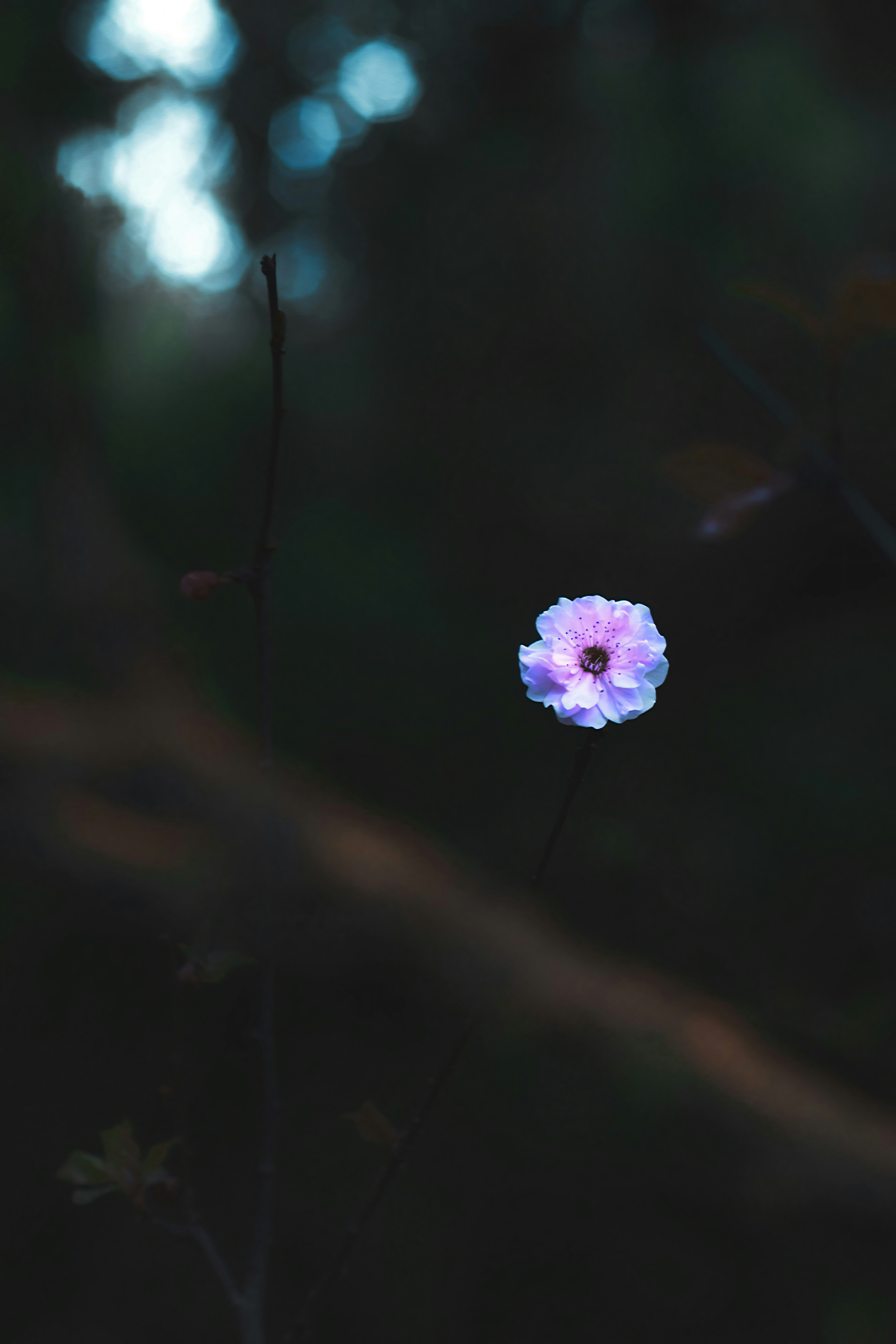 Photo by kvtepov